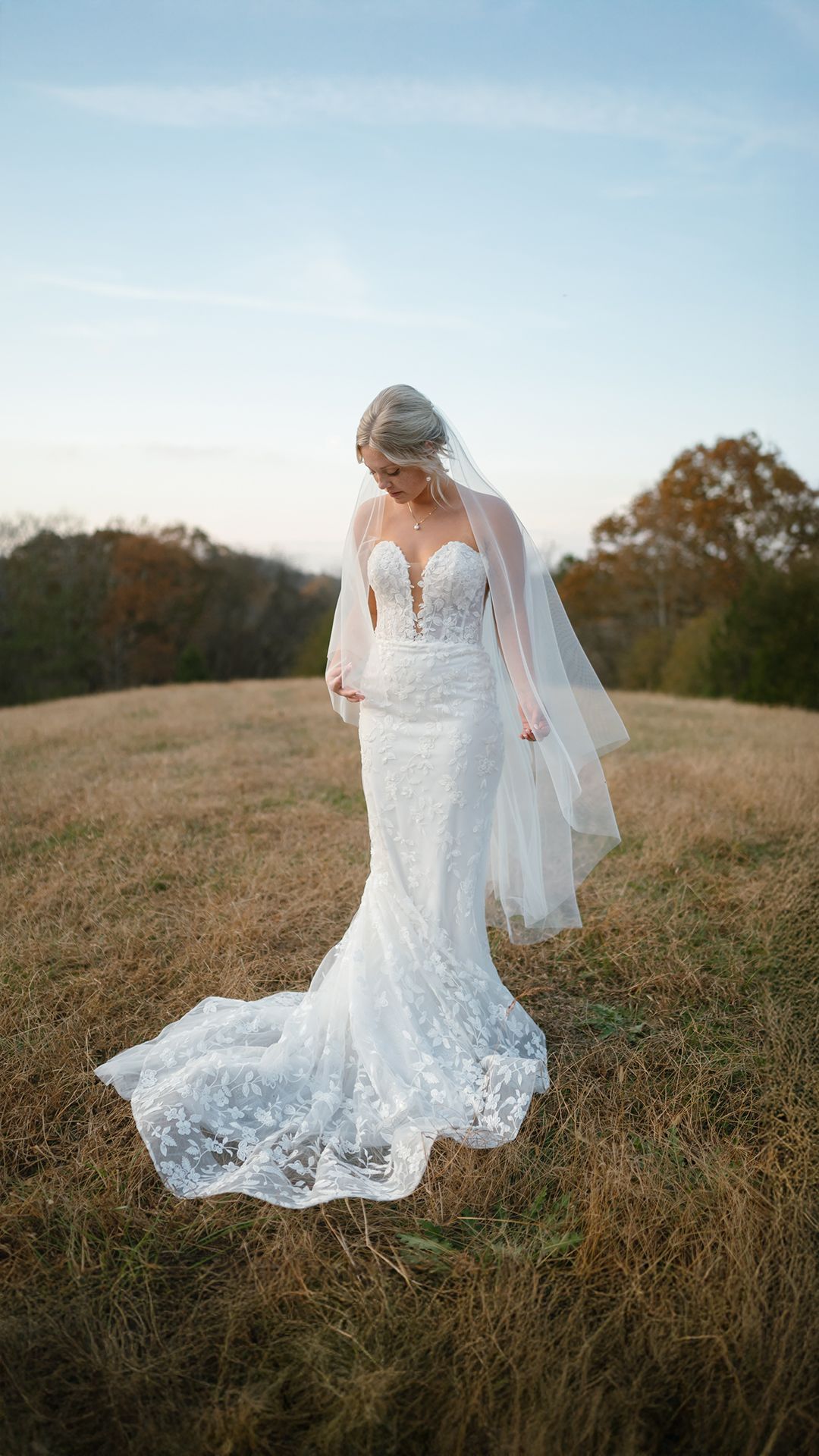 Bride in lace mermaid wedding gown with veil standing in golden field at sunset.