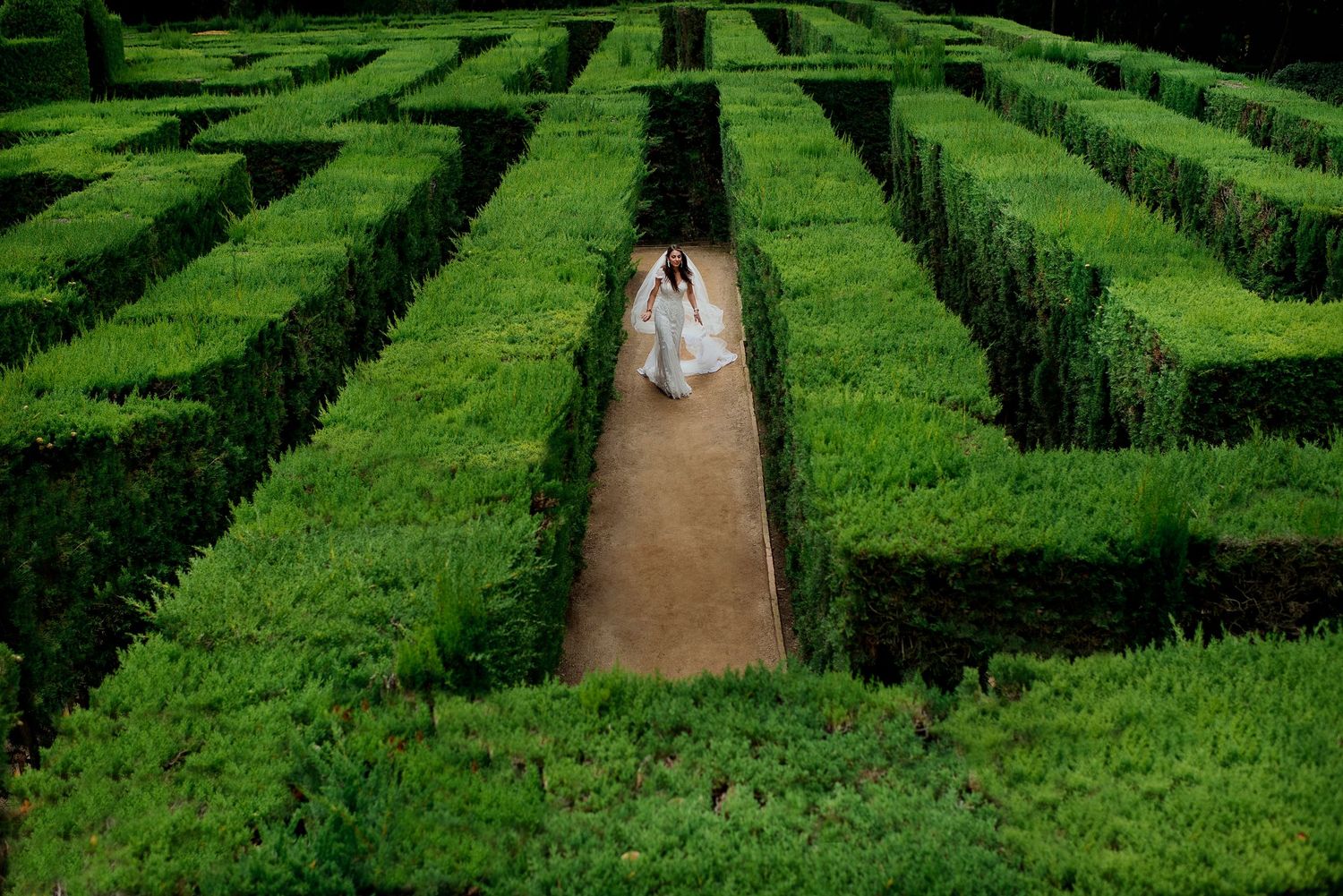 Aerial view of a lush green garden maze with walking paths.
