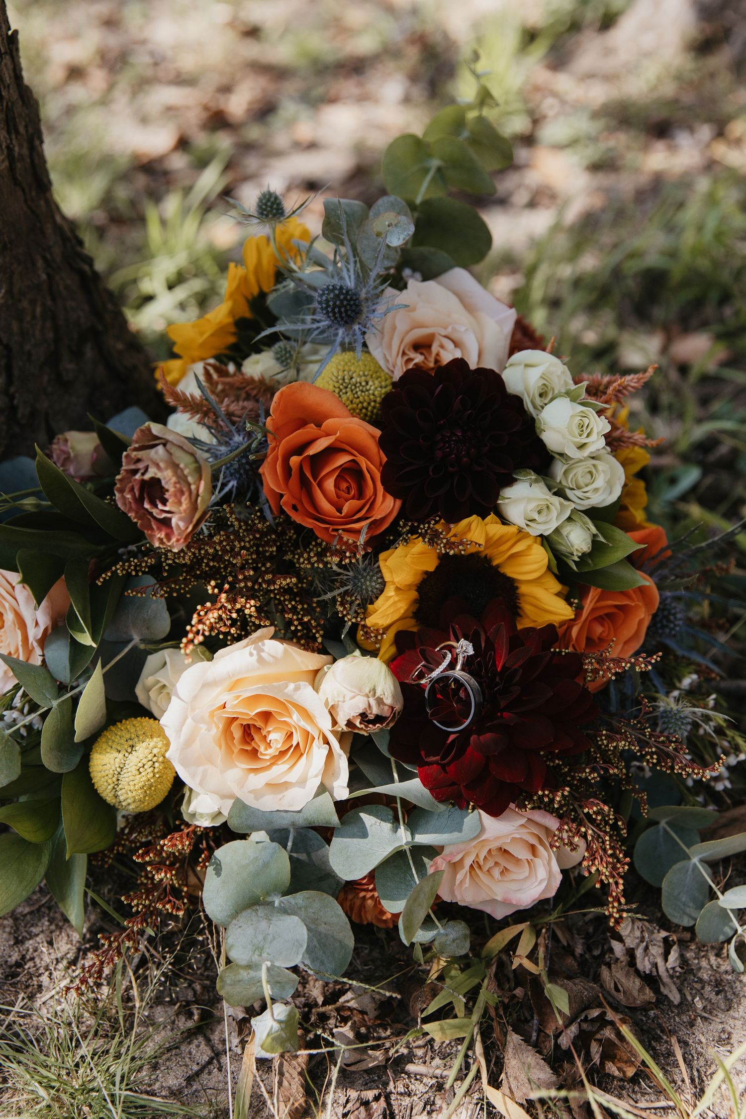 Autumn wedding bouquet with sunflowers, orange roses, dark dahlias, eucalyptus, and wedding rings resting against a tree.