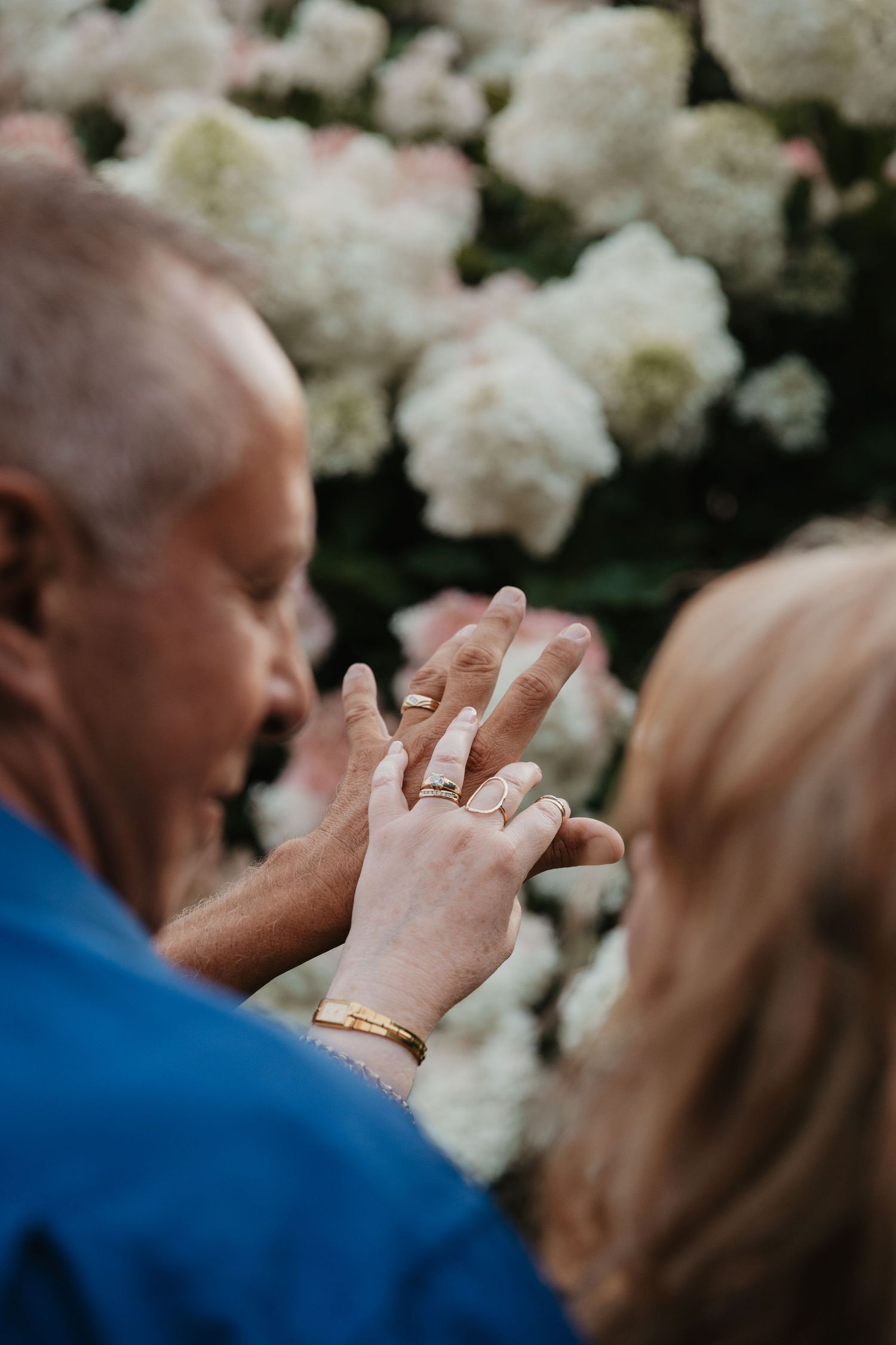 Couple exchanging gold rings at wedding ceremony with white hydrangeas in background.