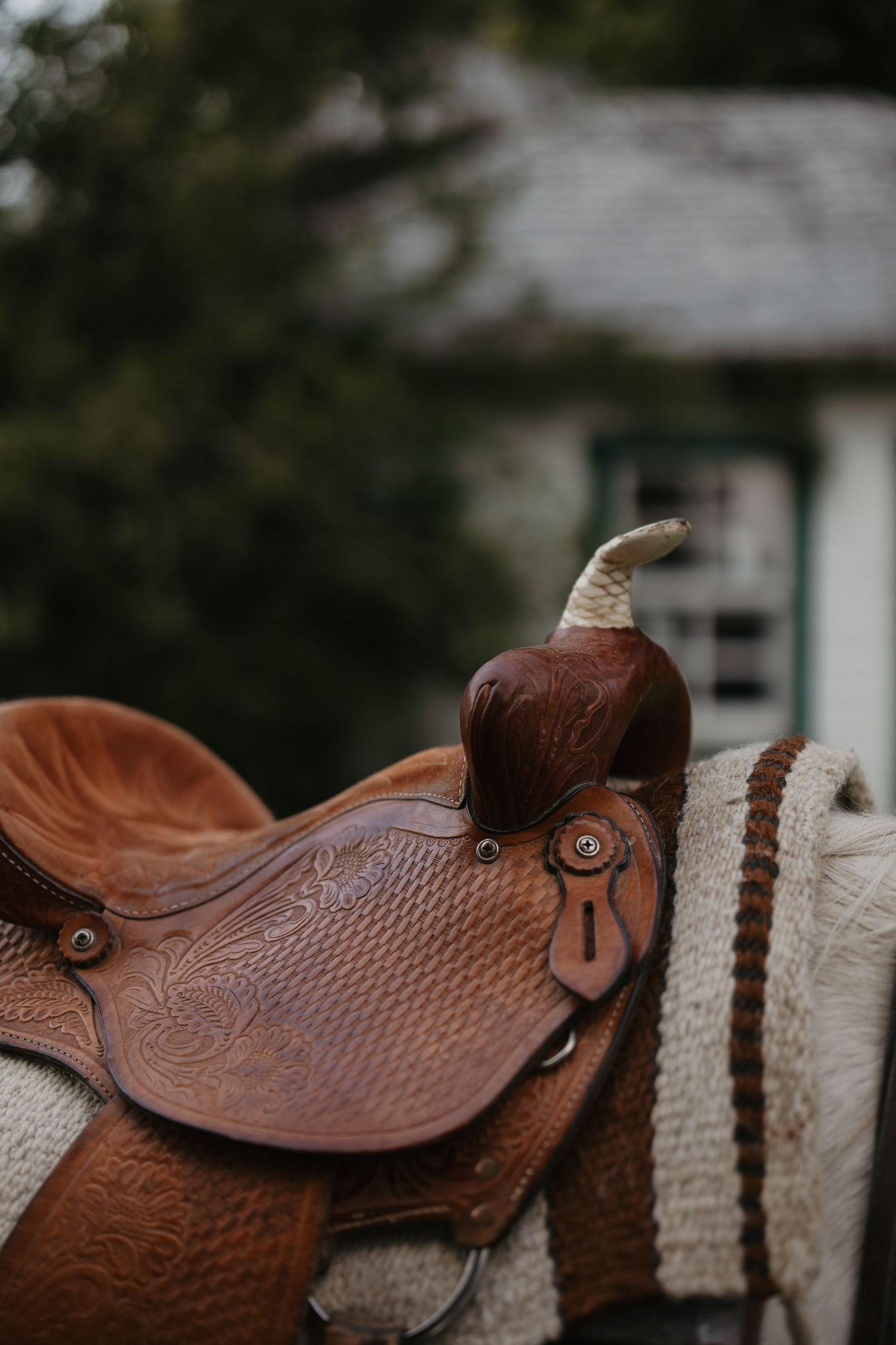 Close-up of an ornate brown leather western saddle with intricate tooling and horn detail on a horse.
