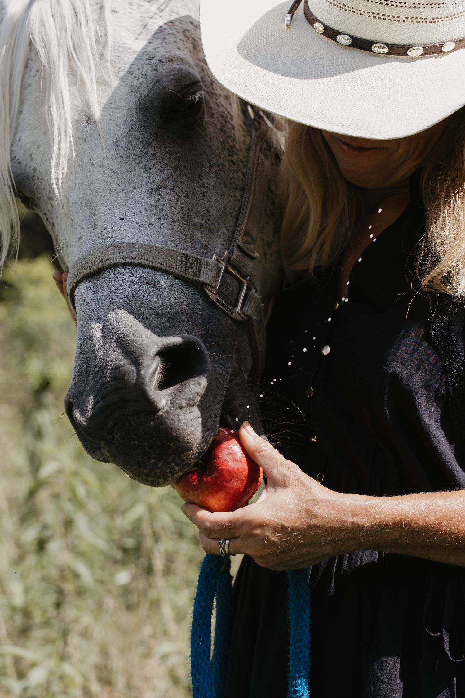 Woman in white cowboy hat feeding a red apple to a gray horse outdoors.