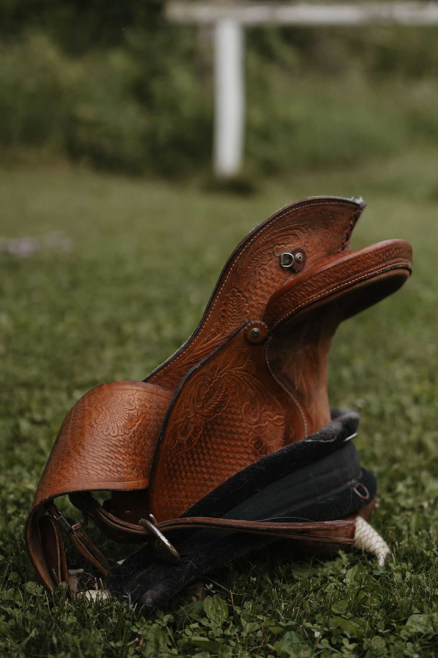Brown leather western horse saddle with intricate tooling resting on green grass outdoors.