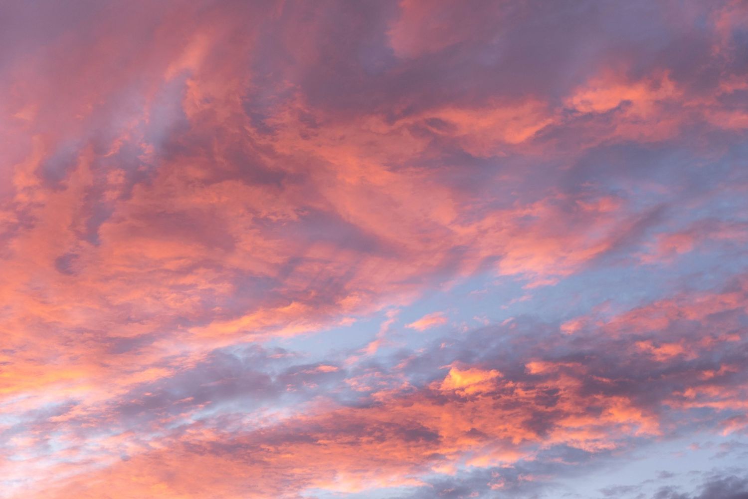 Nature photography for your home
