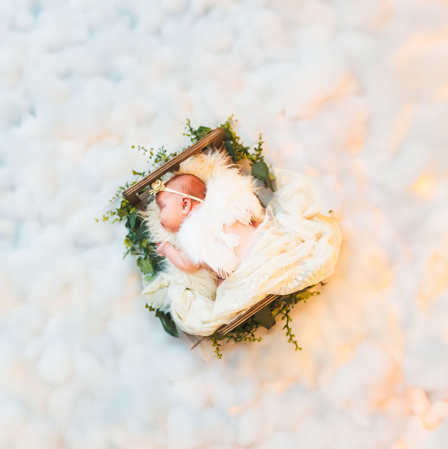a newborn baby girl laying on a little bed in angel wings