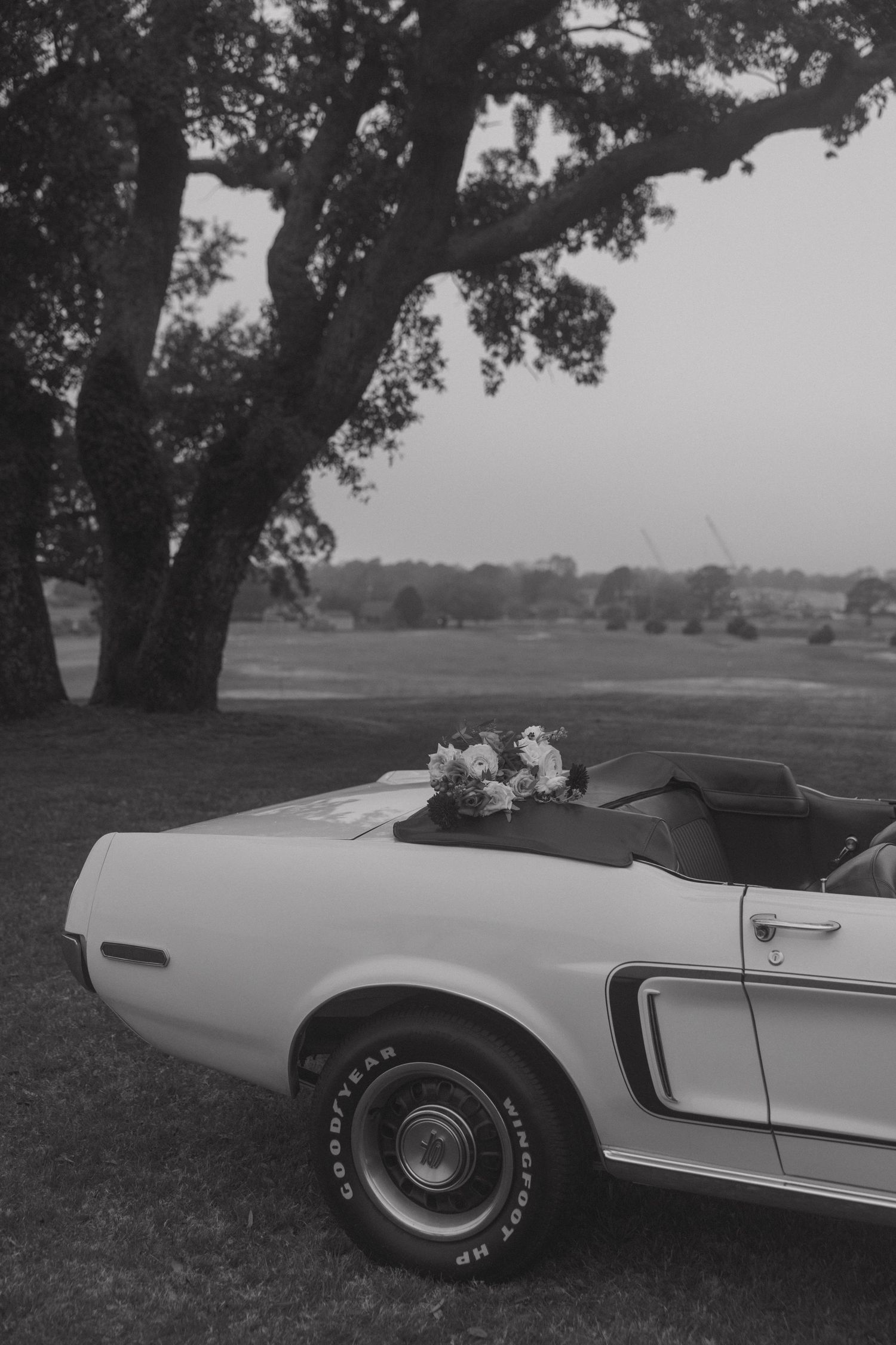 Black and white photo of a classic Ford Mustang convertible with a bridal bouquet on trunk, parked under oak tree.