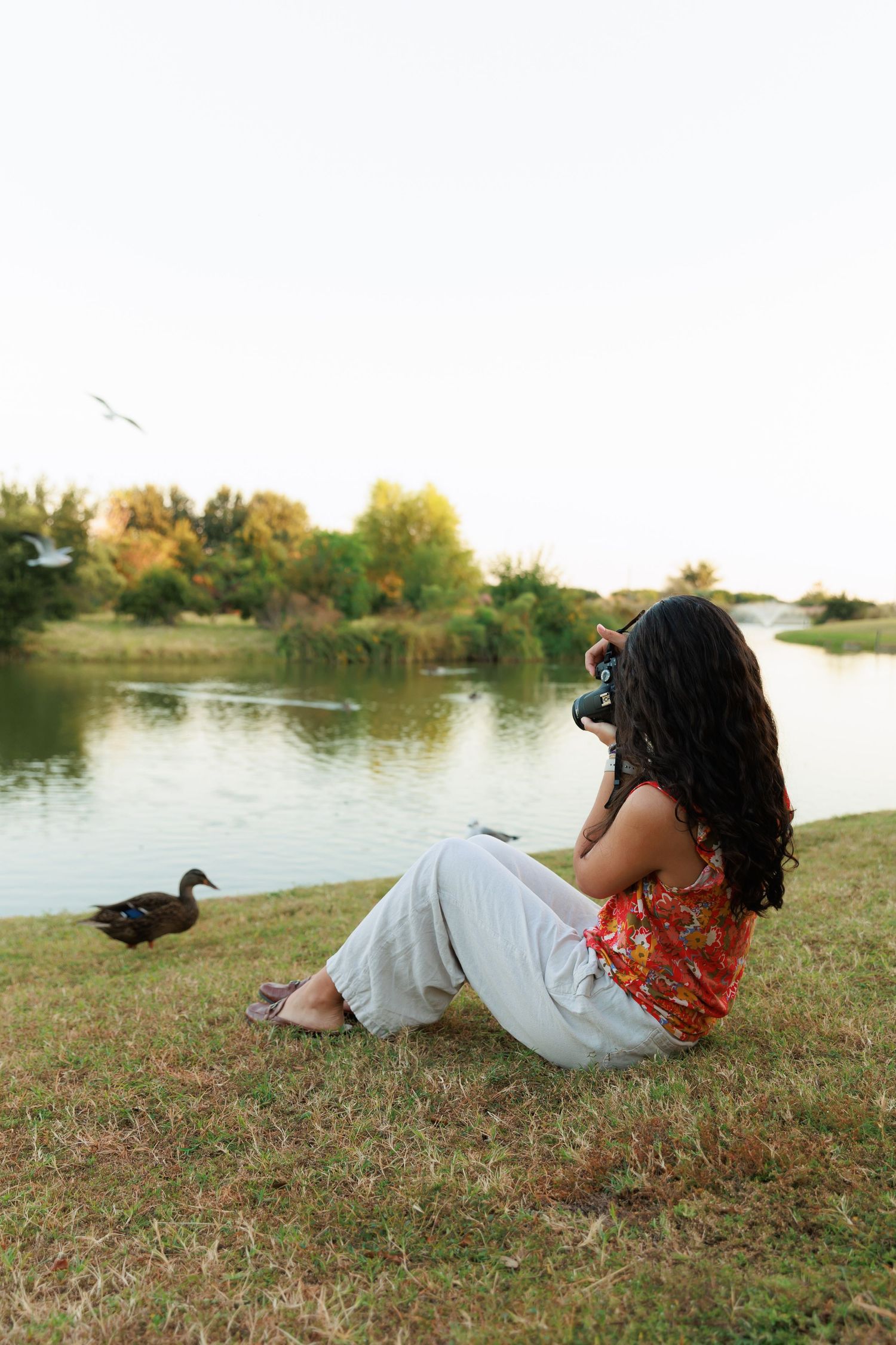 Nature photographer captures images of waterfowl by peaceful lake at sunset.