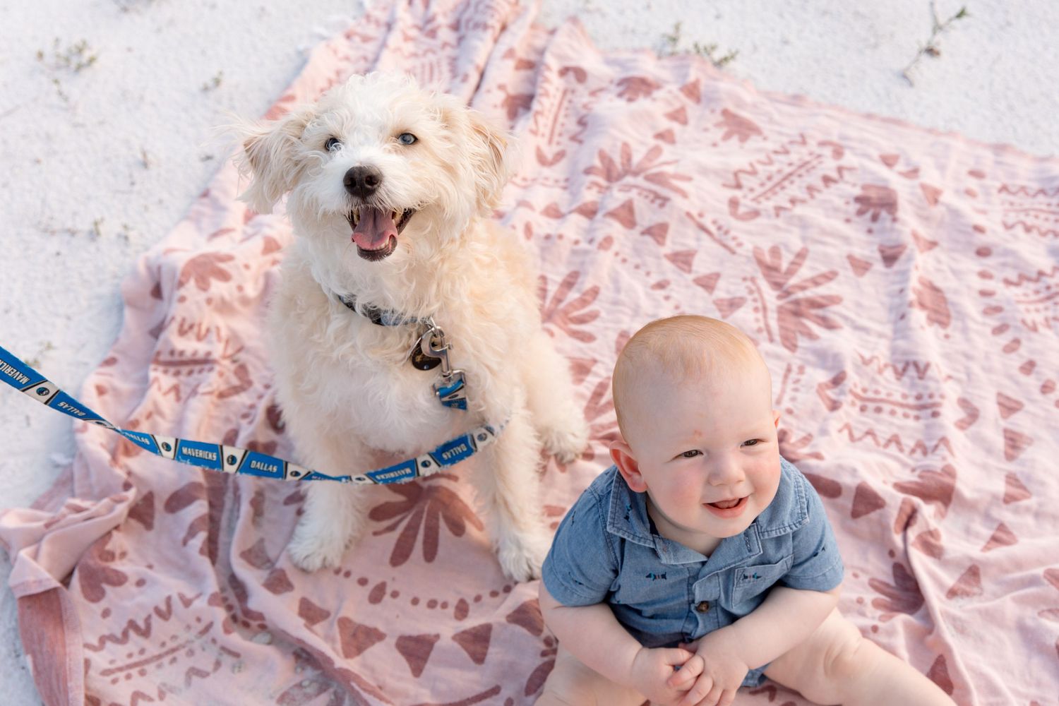 A happy white dog sits next to a baby on a pink floral blanket during an outdoor photo session.