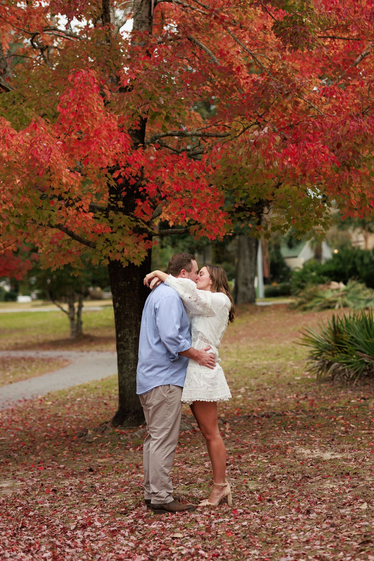 A romantic couple embraces under vibrant red autumn maple trees on a leaf-covered path in a park setting.