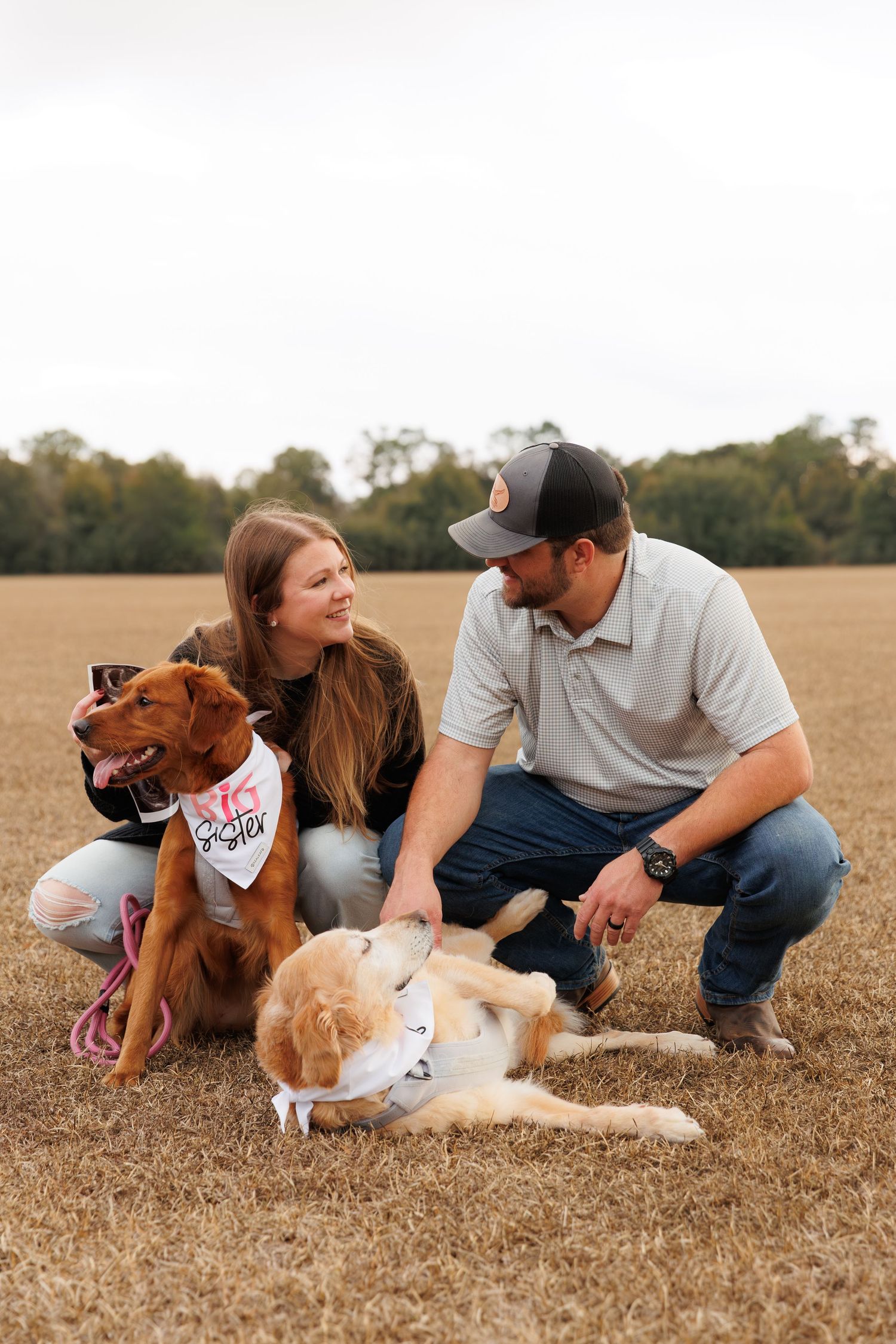 Two dogs wearing bandanas sit in a brown field with their owners on a sunny autumn day.