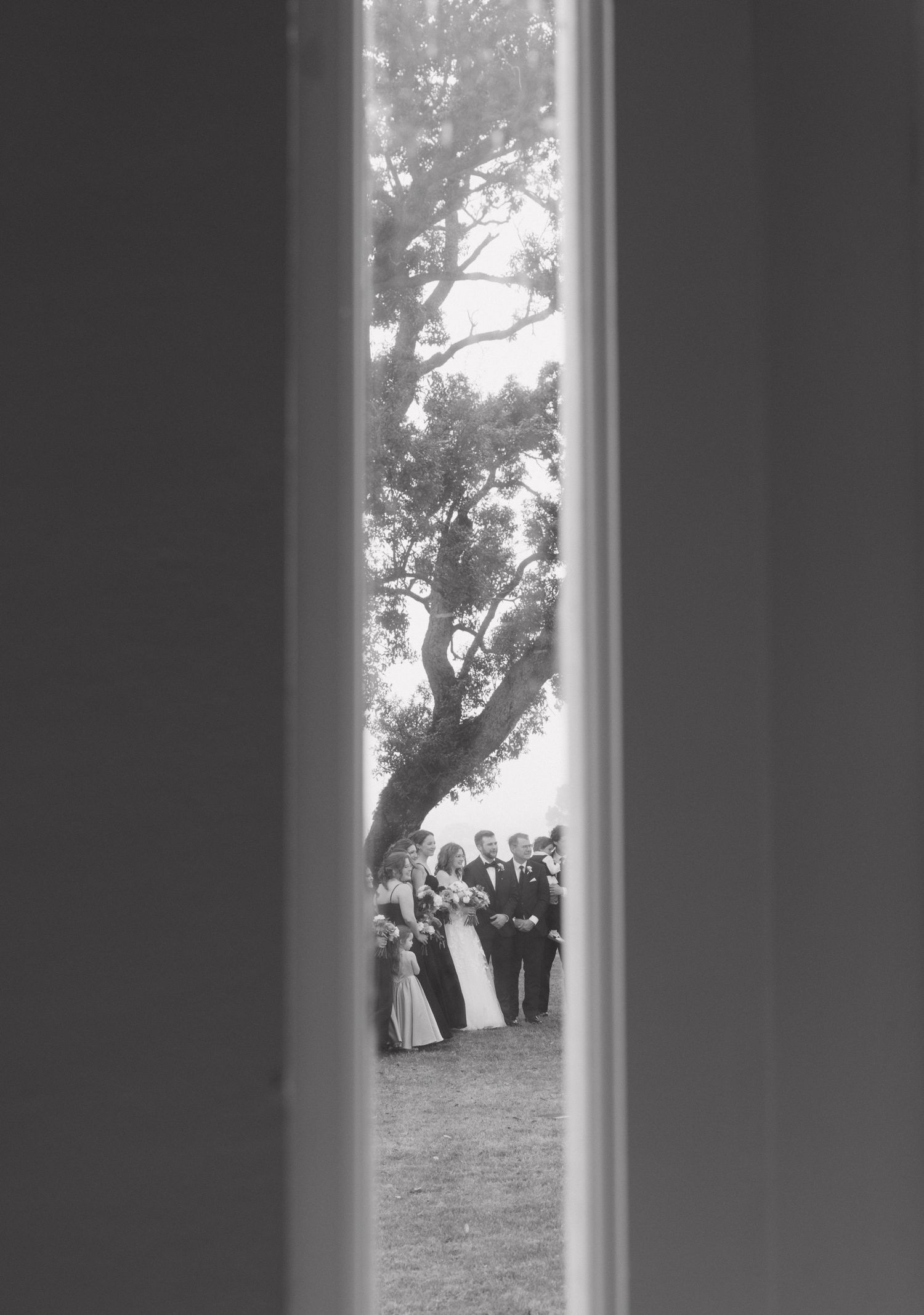 Black and white photo of a wedding ceremony viewed through a narrow gap, with guests gathered under a large tree outdoors.