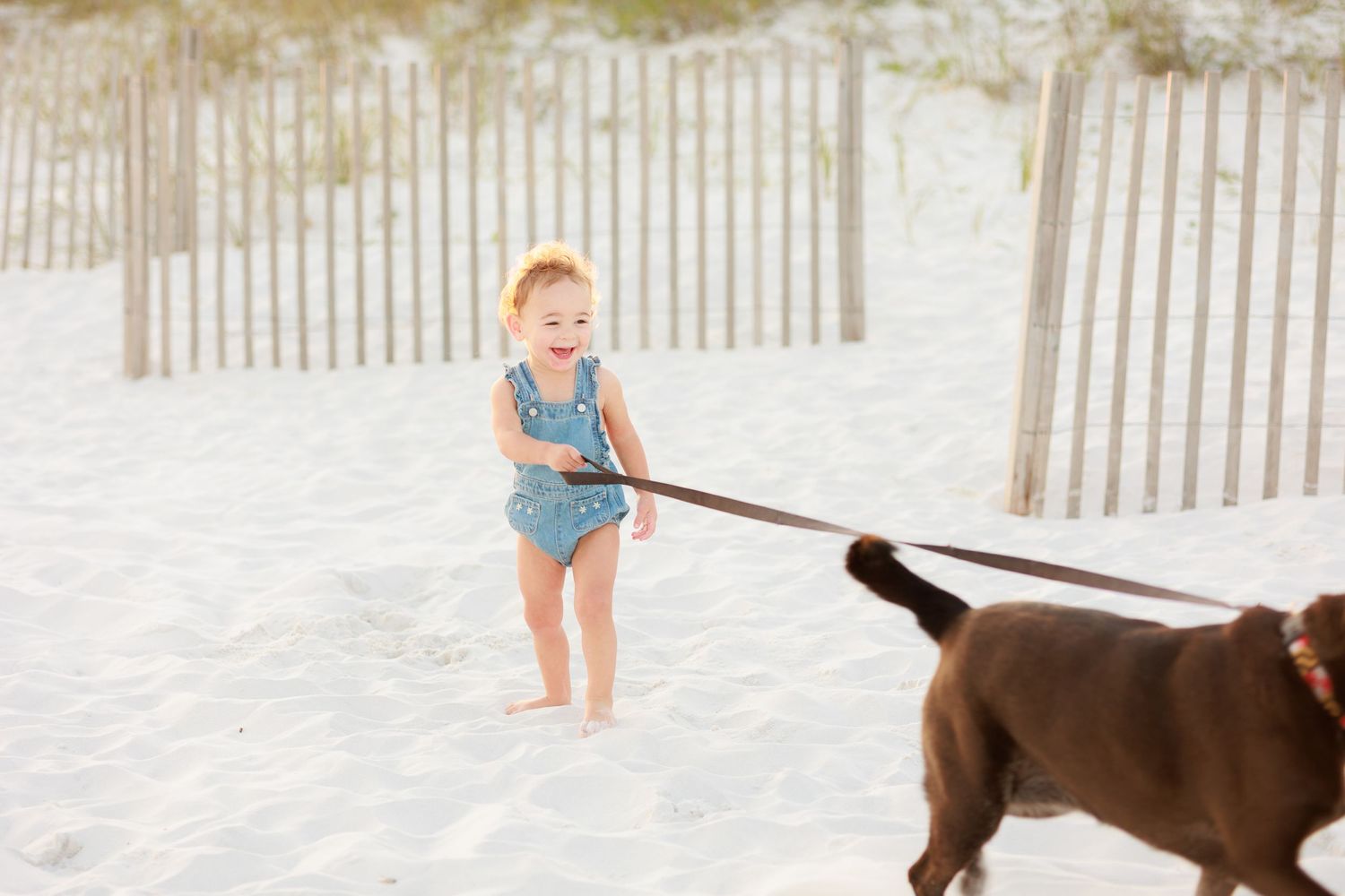 Laughing toddler in blue swimsuit holds dog leash on white sand beach near wooden fence.