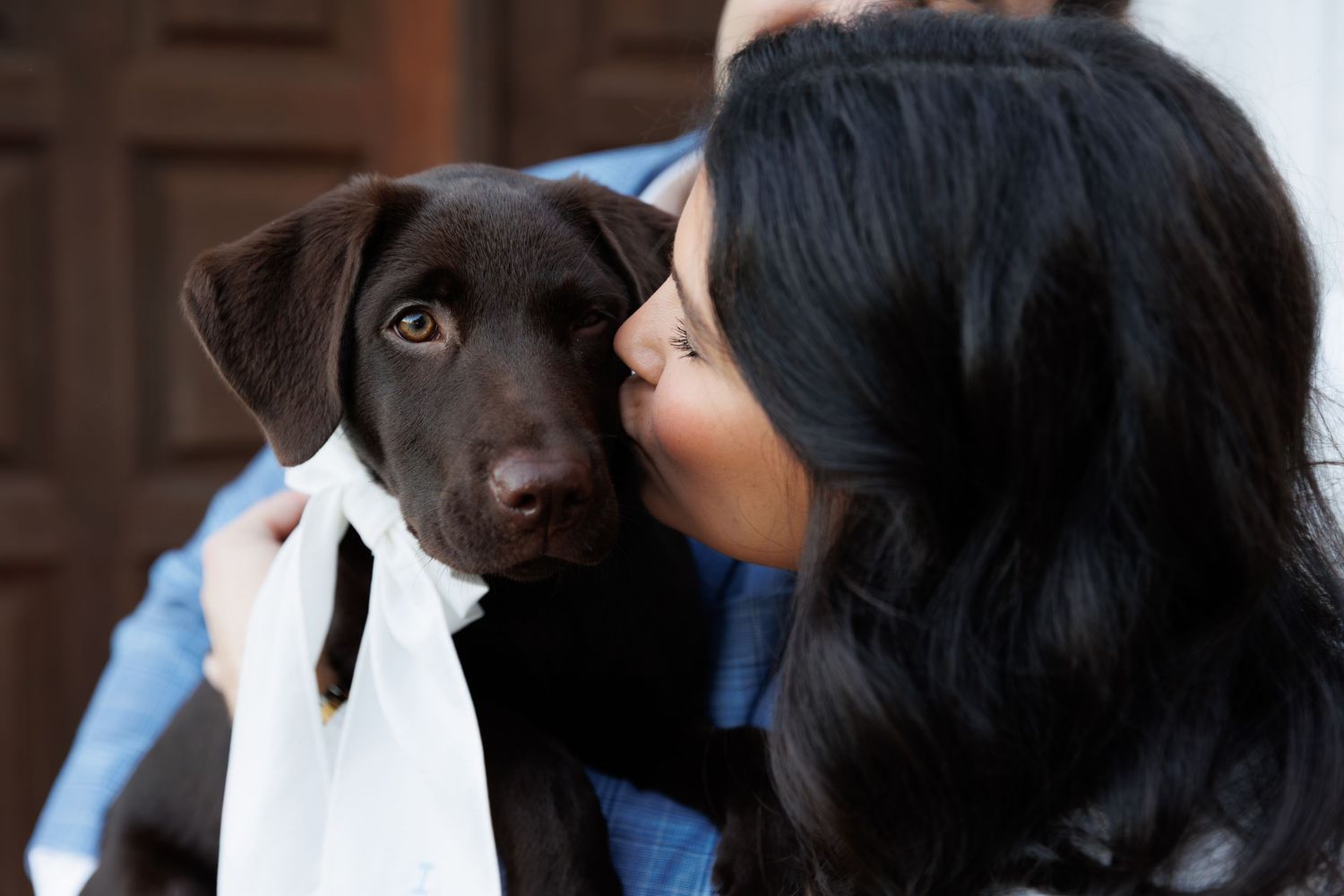 A black Labrador puppy gives kisses to someone wearing blue while being held in their arms.