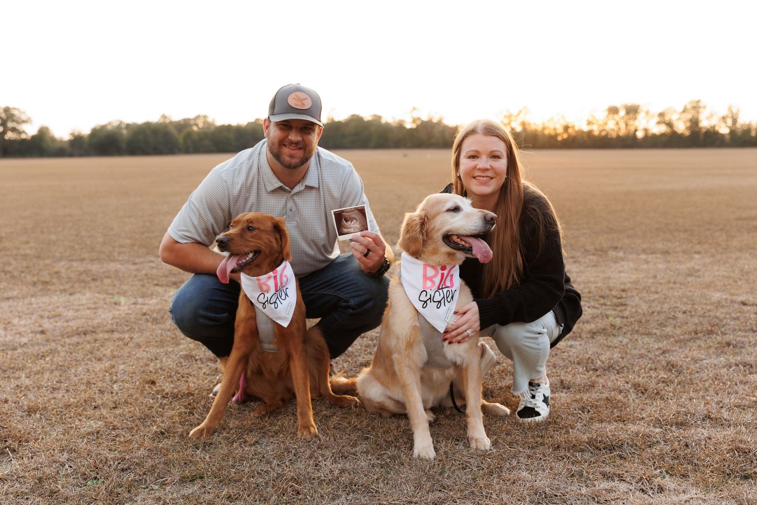 A group poses with two dogs in a golden field during sunset for outdoor family photos.