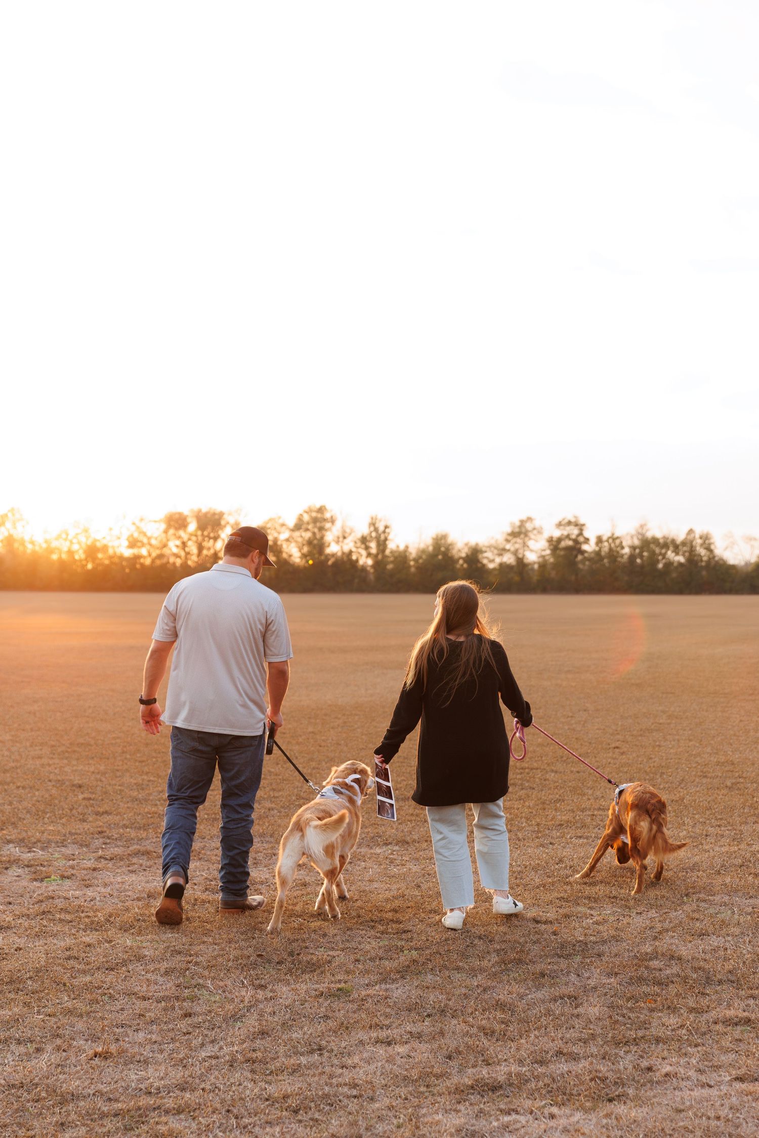 A couple and their two dogs walk together in a golden field at sunset, creating silhouettes against the warm sky.
