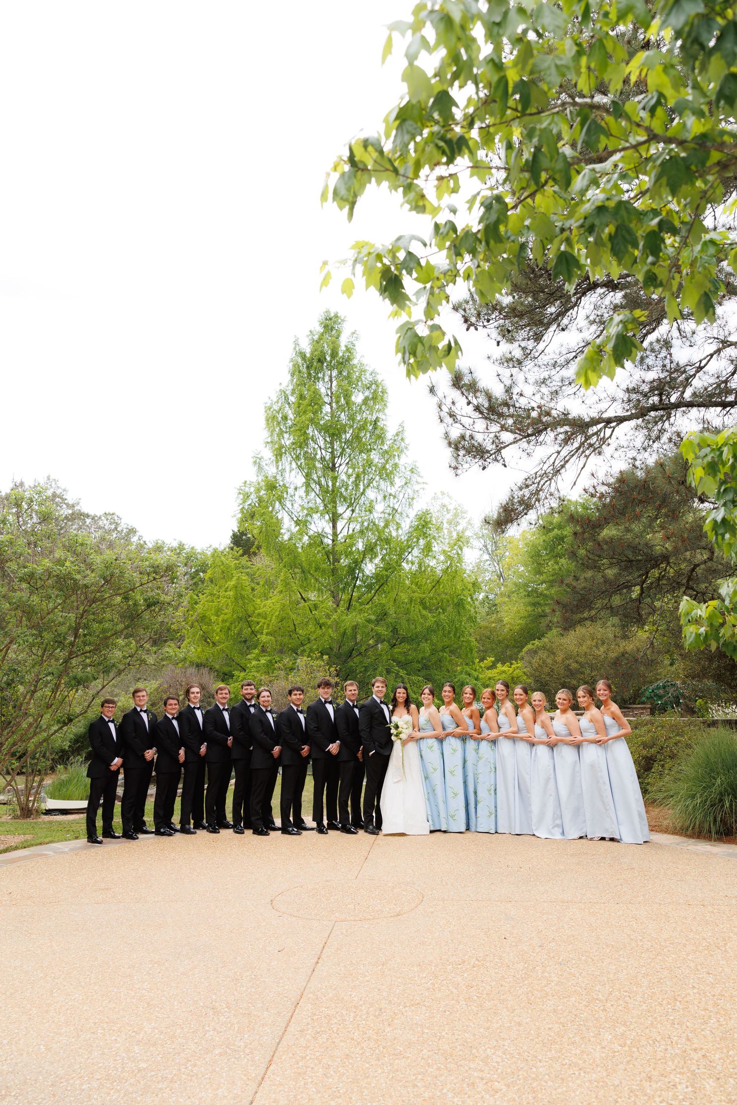 Wedding party poses outdoors, groomsmen in black tuxedos on left, bridesmaids in light blue gowns on right, bride in white center.