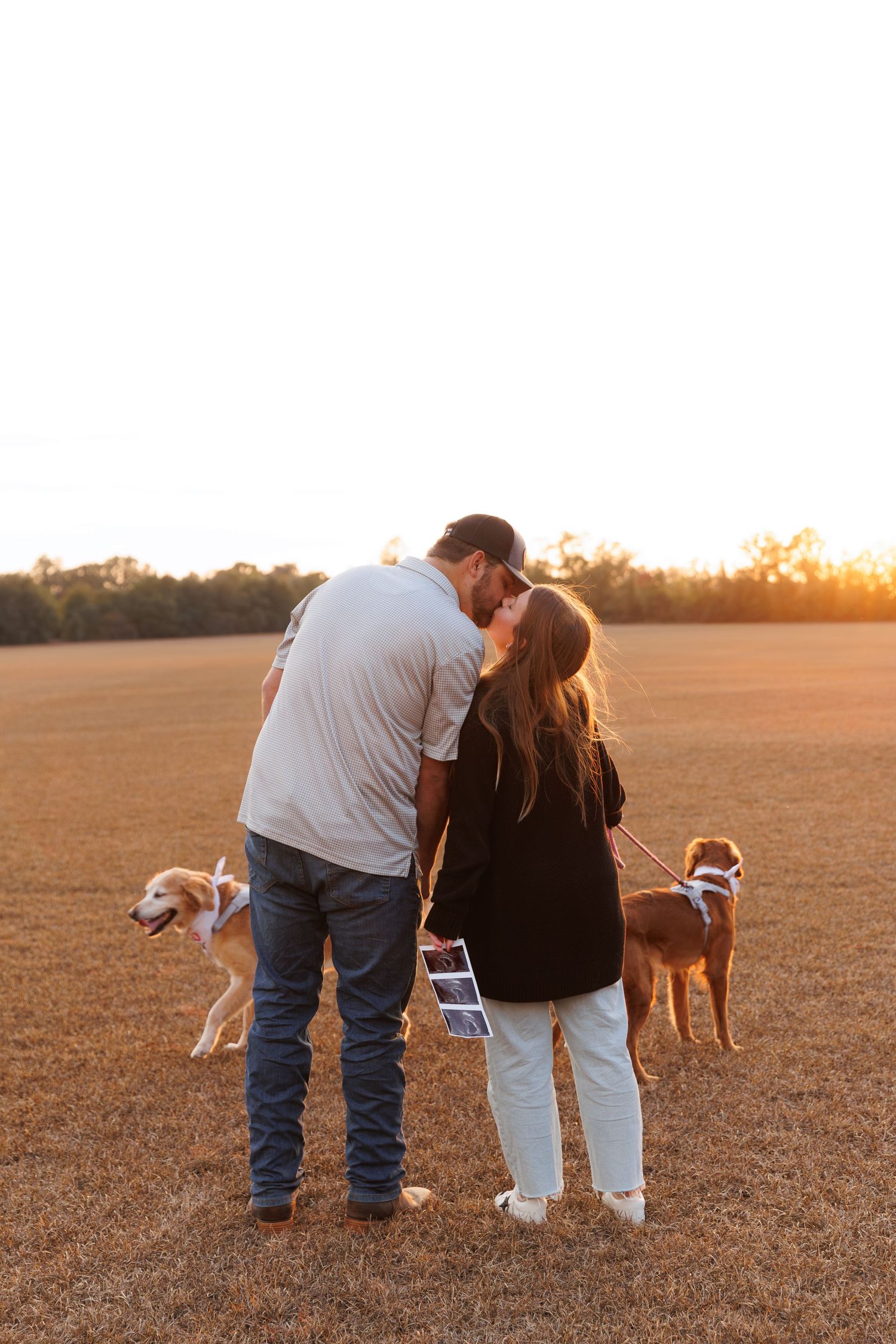 Couple and their dogs stand together in golden field at sunset while holding pregnancy announcement photos.