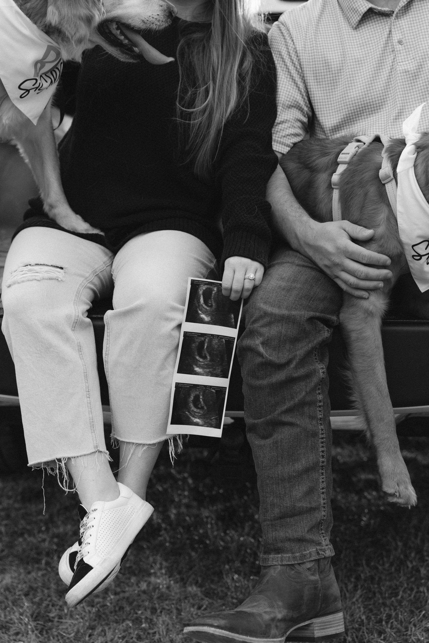 People sitting on truck tailgate holding ultrasound photos with two dogs beside them in casual setting.
