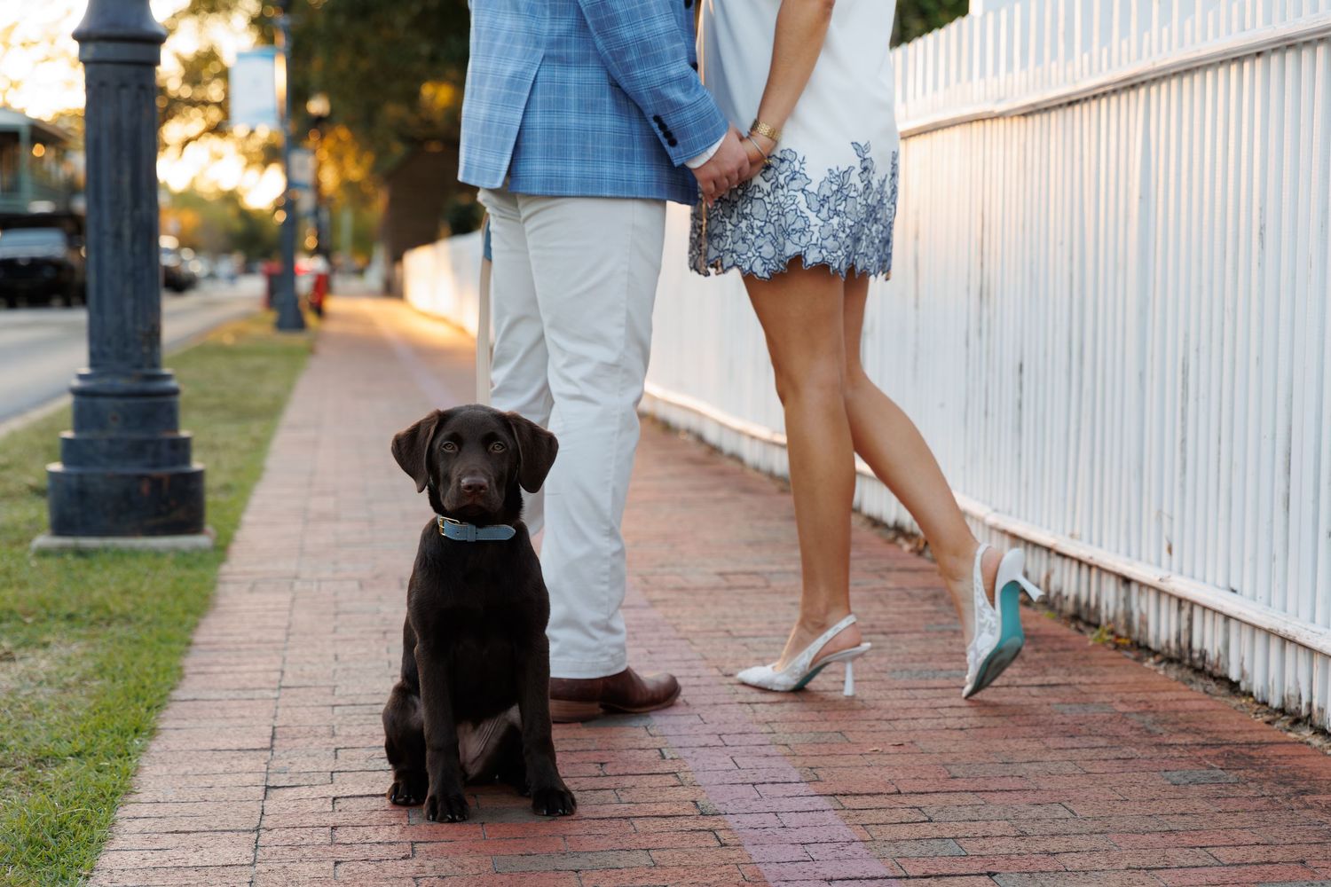 Chocolate Labrador puppy sitting on brick sidewalk beside couple holding hands, woman wearing heels and blue skirt.