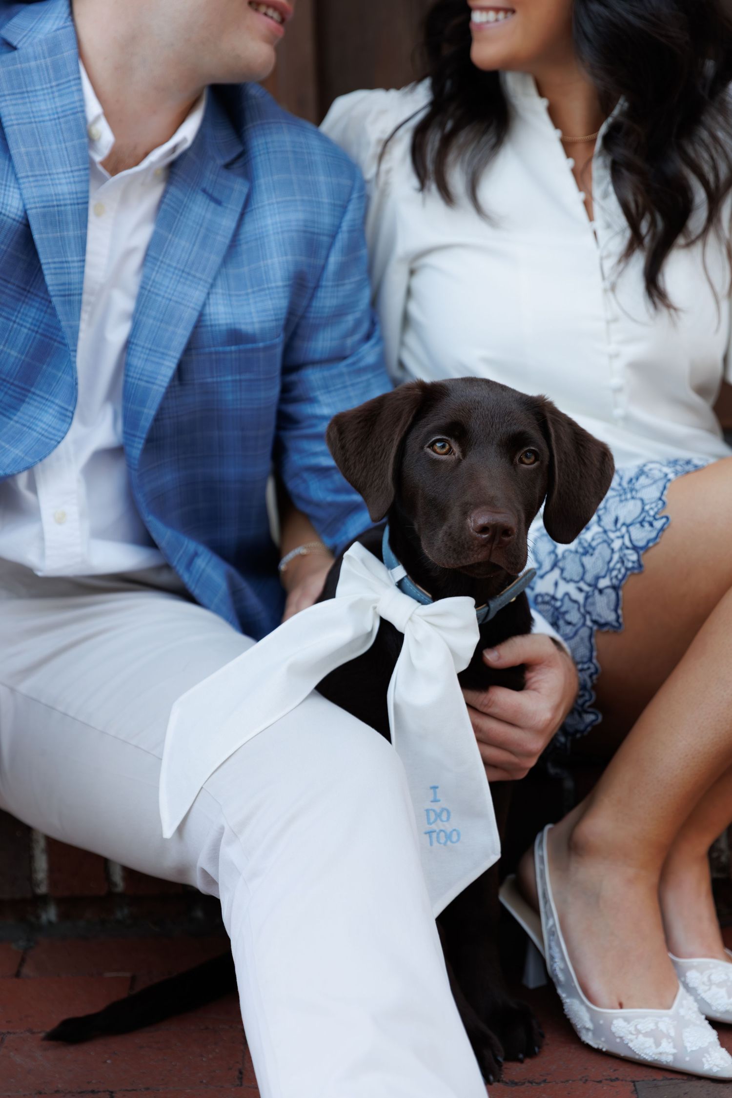 Couple in blue and white outfits posing with their chocolate Labrador puppy for engagement photos.