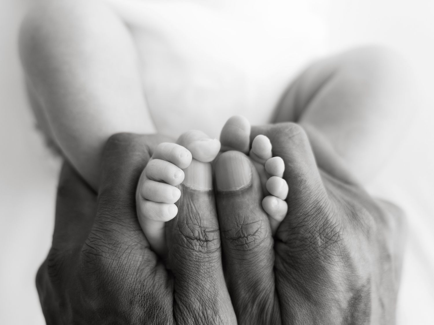 Black and white photo of a newborn baby's tiny feet cradled gently in adult hands.