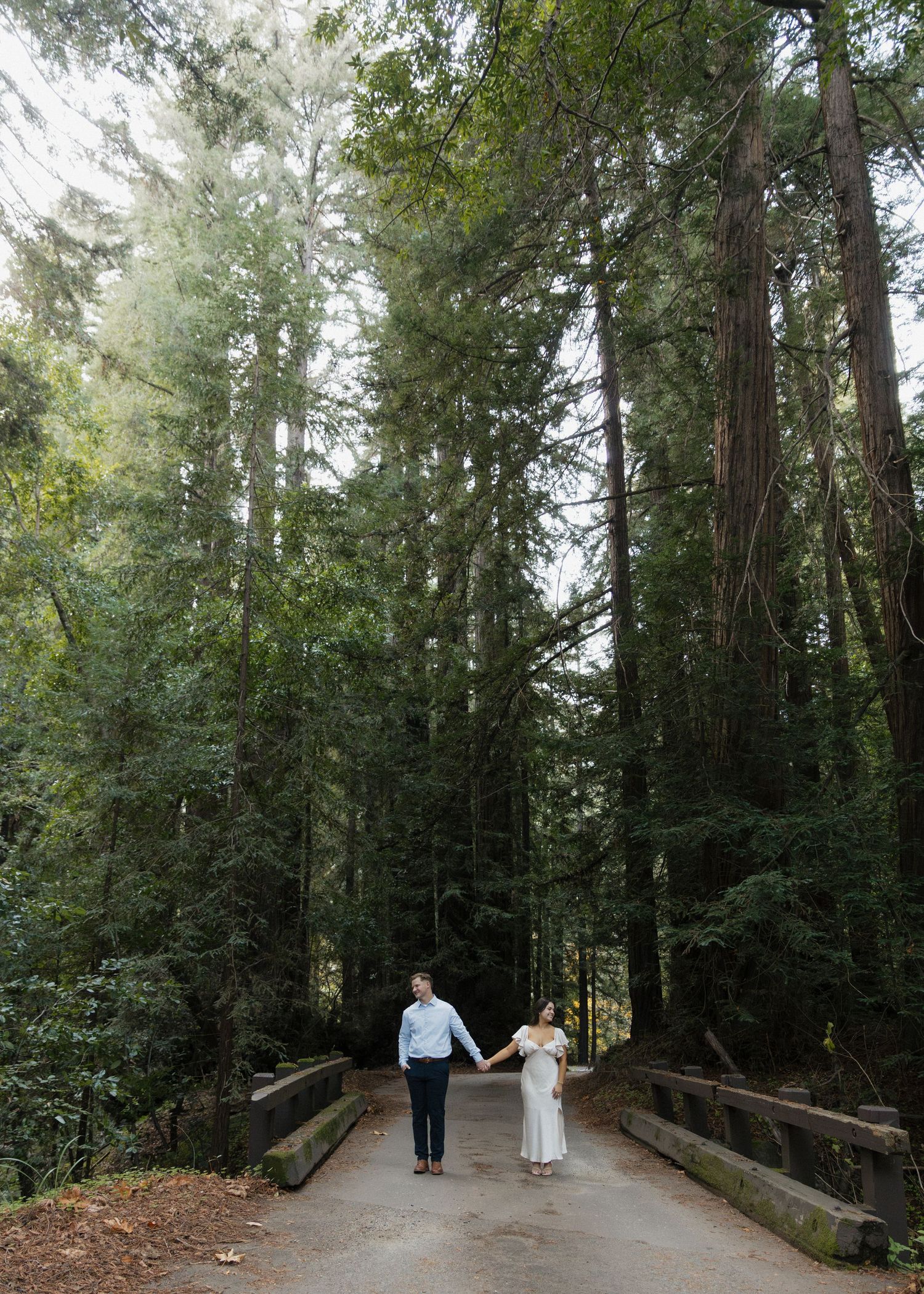 An engaged couple walks hand in hand along a wooden bridge path through a serene redwood forest in Big Sur, California.