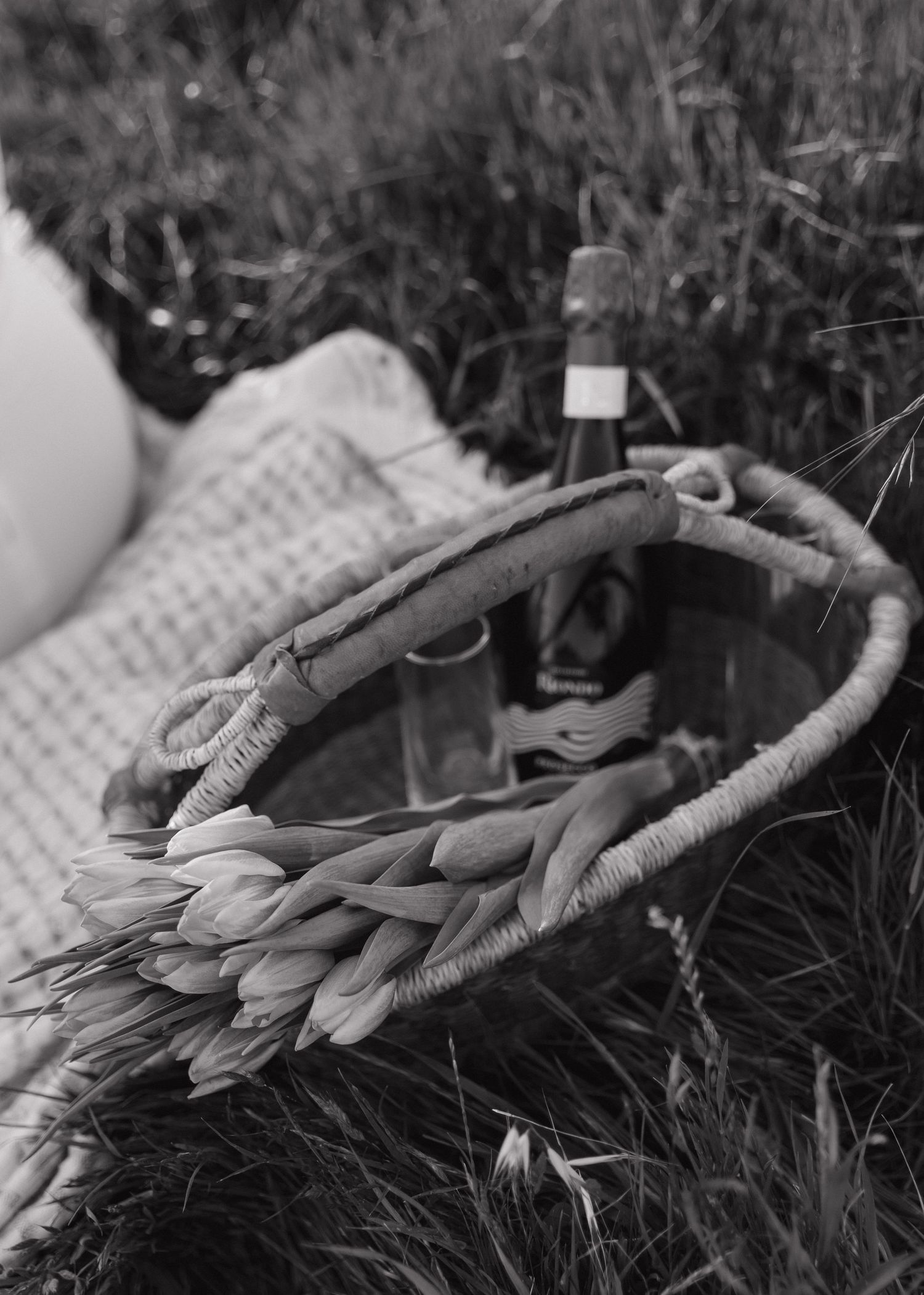 A black and white photograph shows a picnic basket filled with tulips, champagne, and flutes sitting on a grassy field.