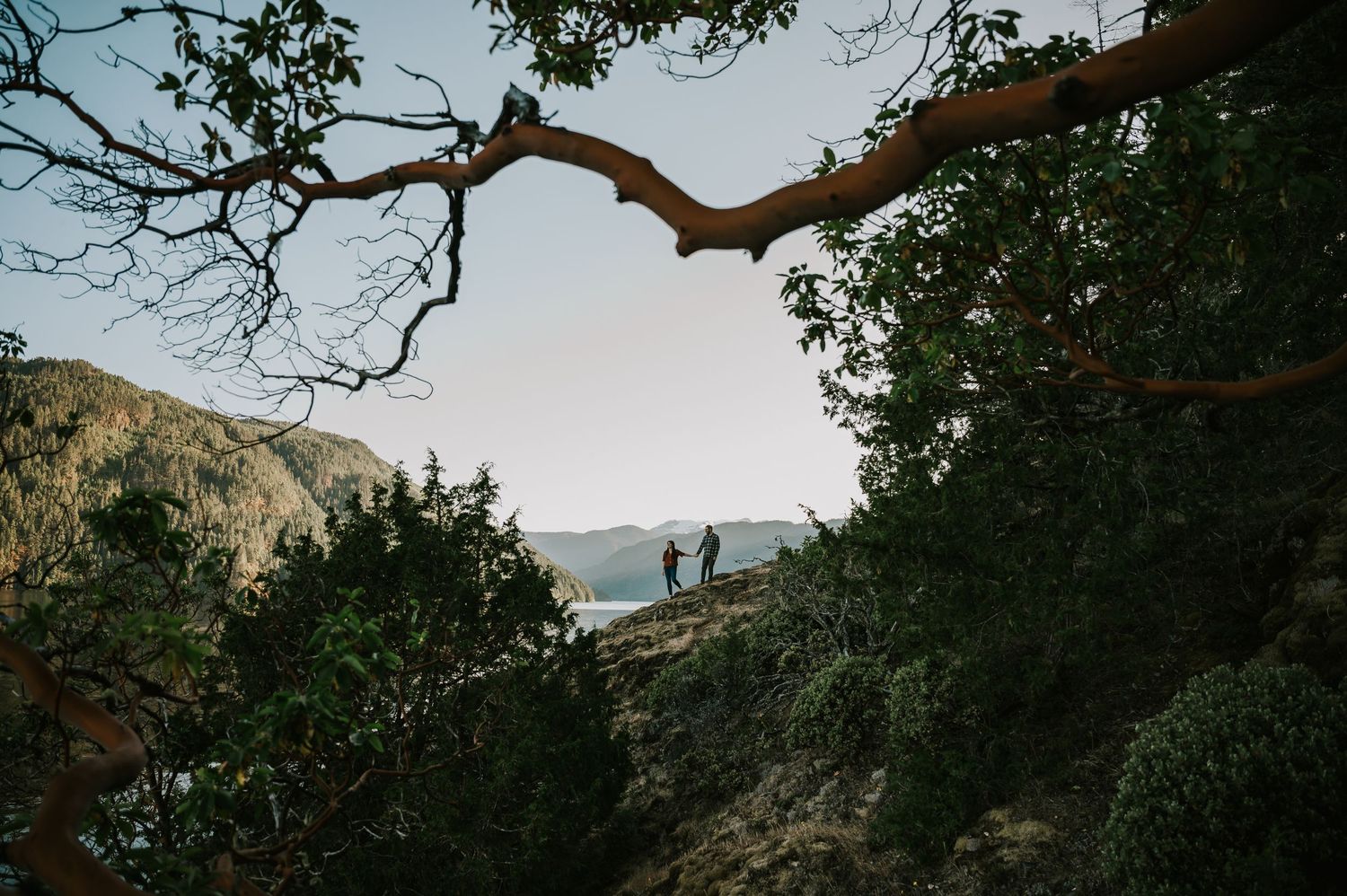 Adventure photo of couple on Comox Lake bluffs in front of Comox Glacier with arbutus tree in foreground by Vancouver Island photographer