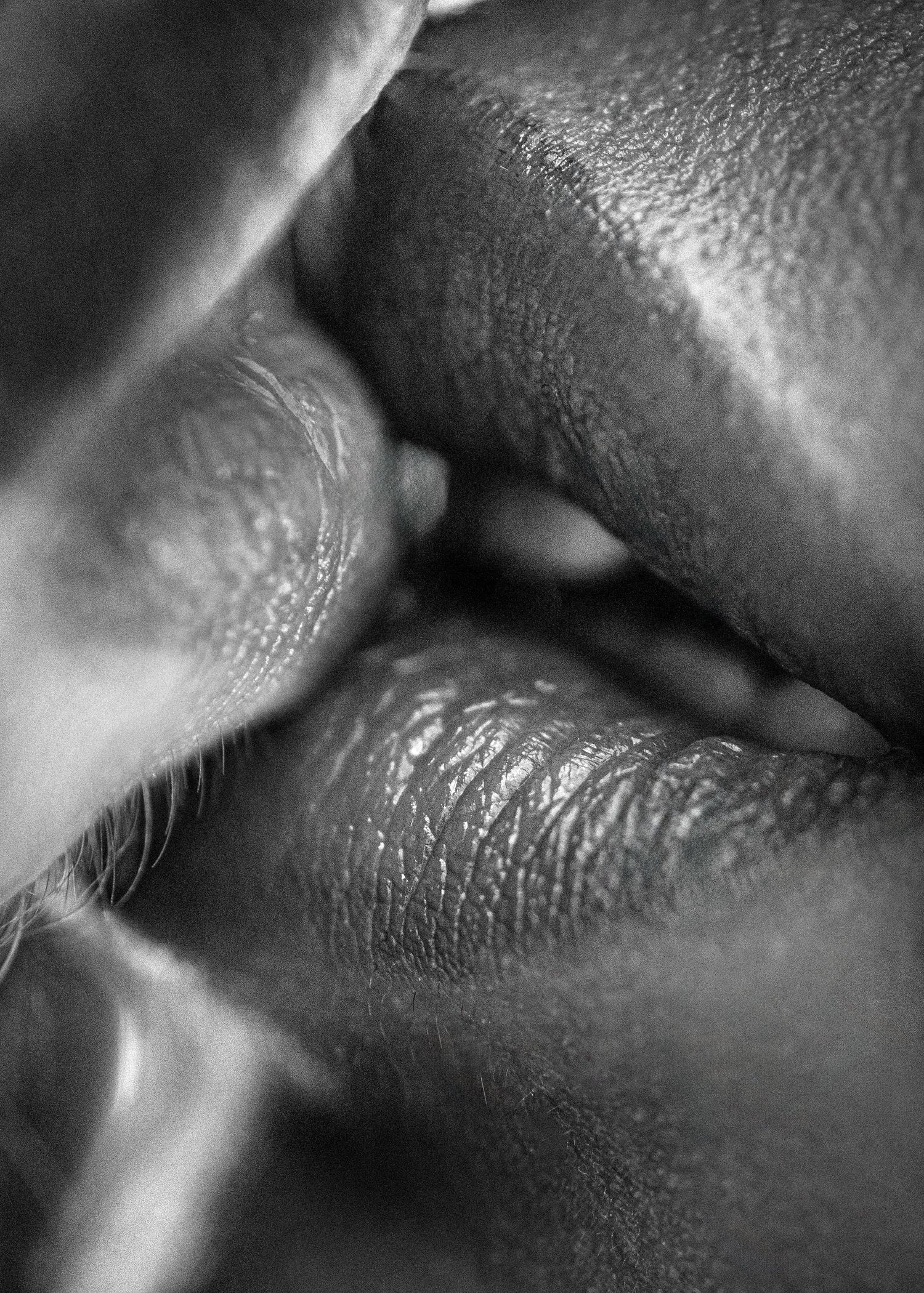 Extreme close-up black and white photo of lips about to kiss.