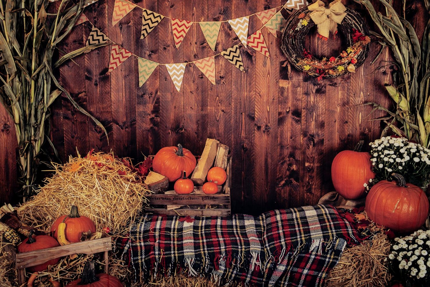 Fall harvest scene with pumpkins, plaid fabric, and autumn decorations against wooden background.