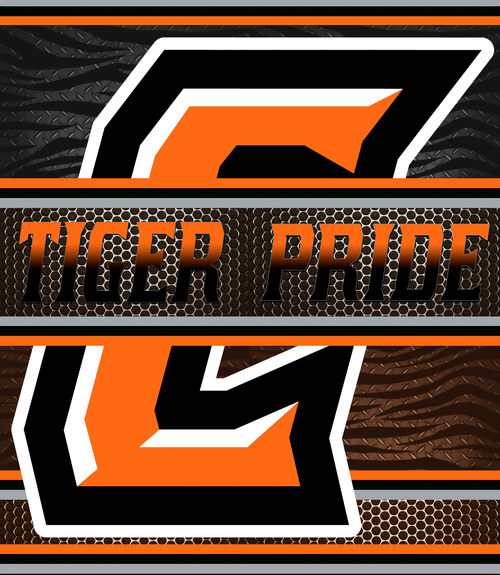 Black and orange sports team logo design with Tiger Pride text and metallic textures.