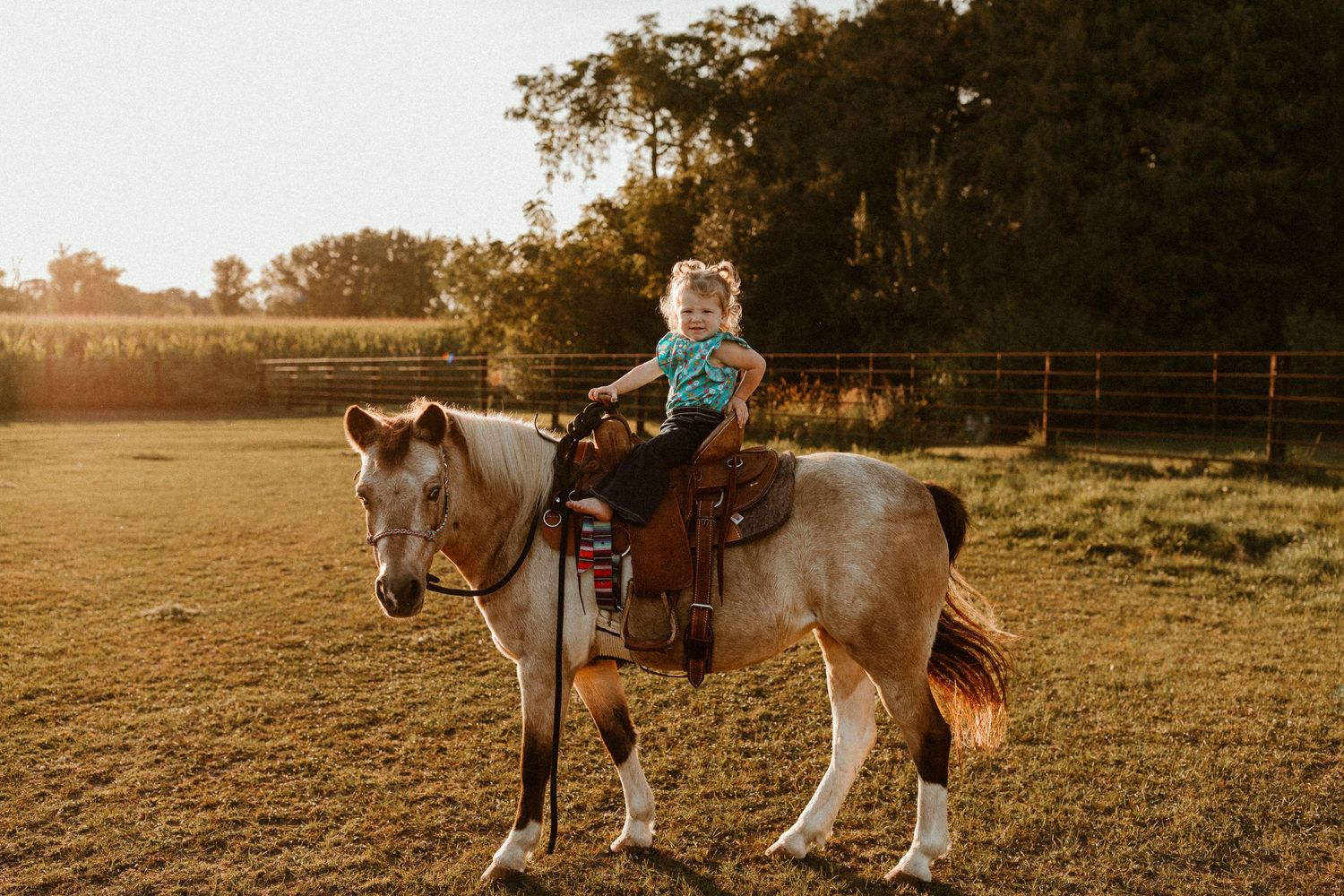 Young rider sitting atop pony in golden sunset light on farm.