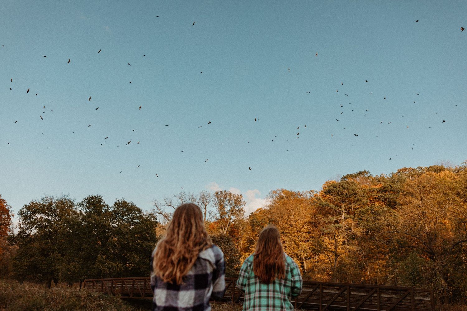 Two people in plaid shirts watching birds fly across autumn sky at sunset.