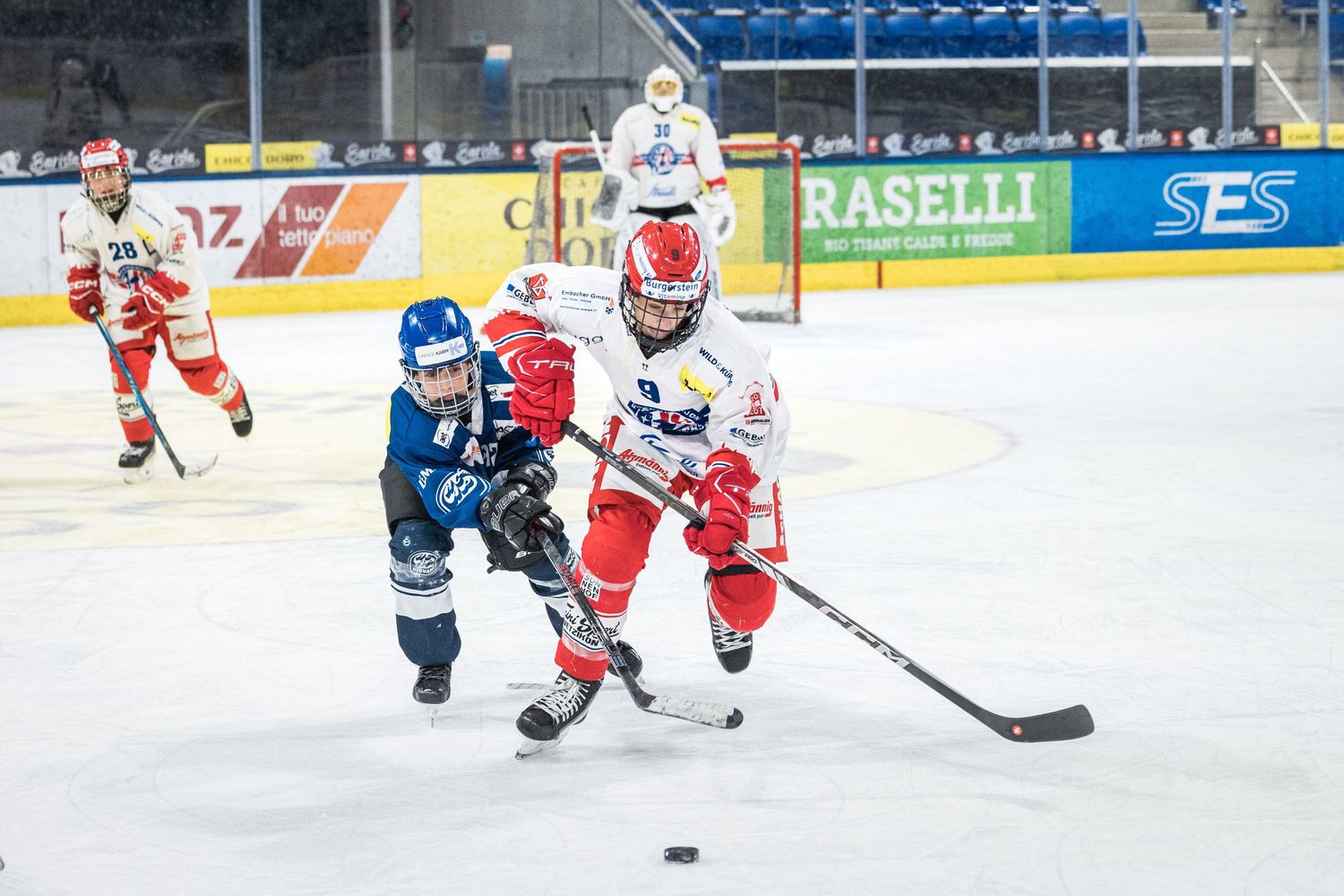 Ice hockey players from opposing teams chase after the puck during an intense game on the rink.