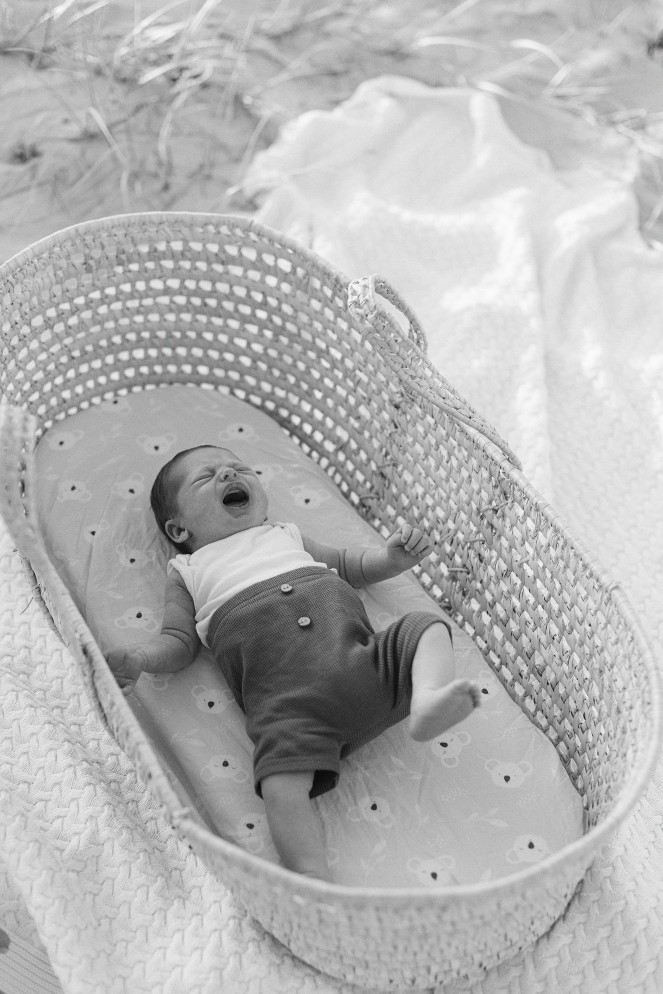 A series of black and white photographs showing a sleeping infant in a basket with polka dot bedding.