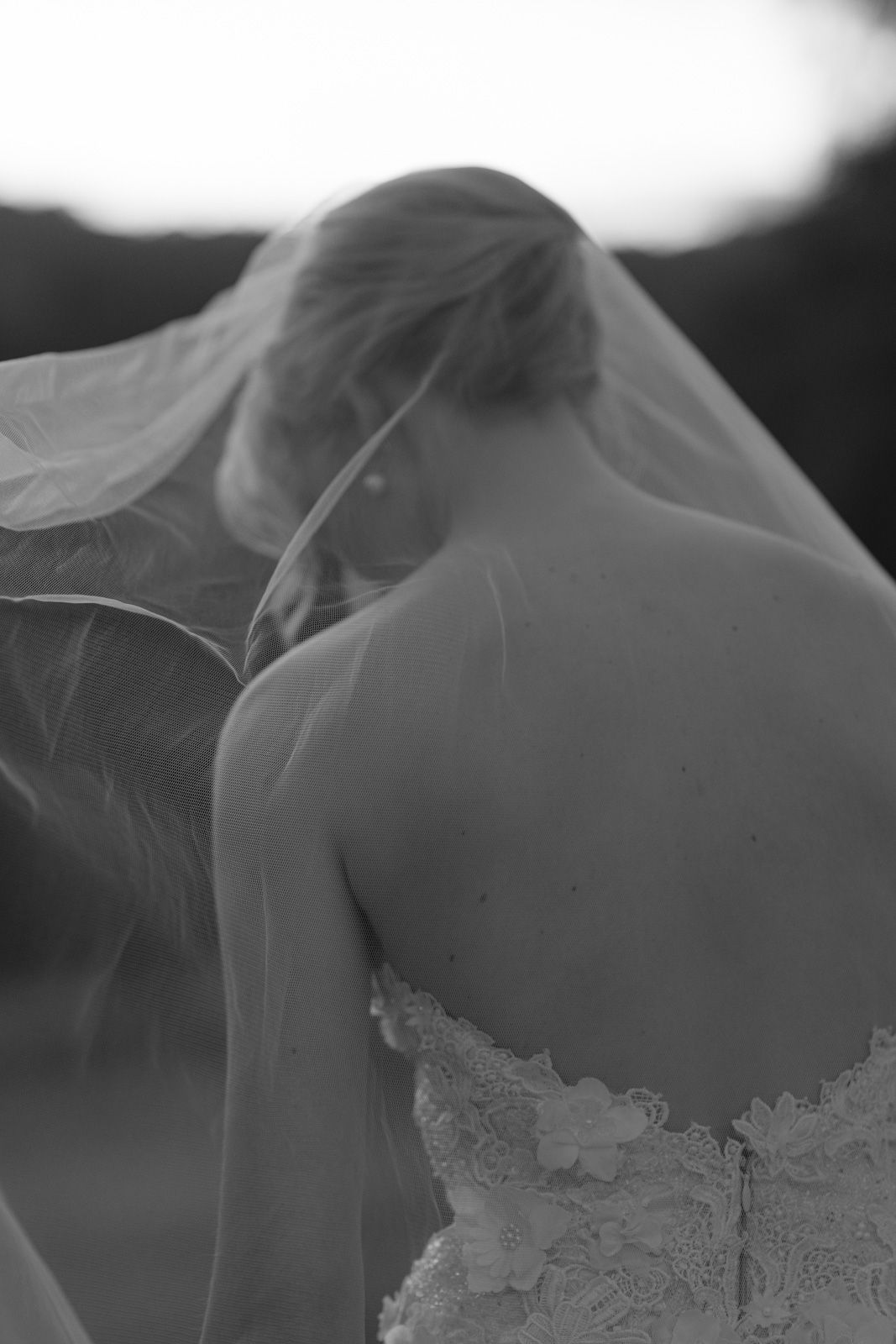 Austinvilla Estate wedding photographer Gold Coast hinterland