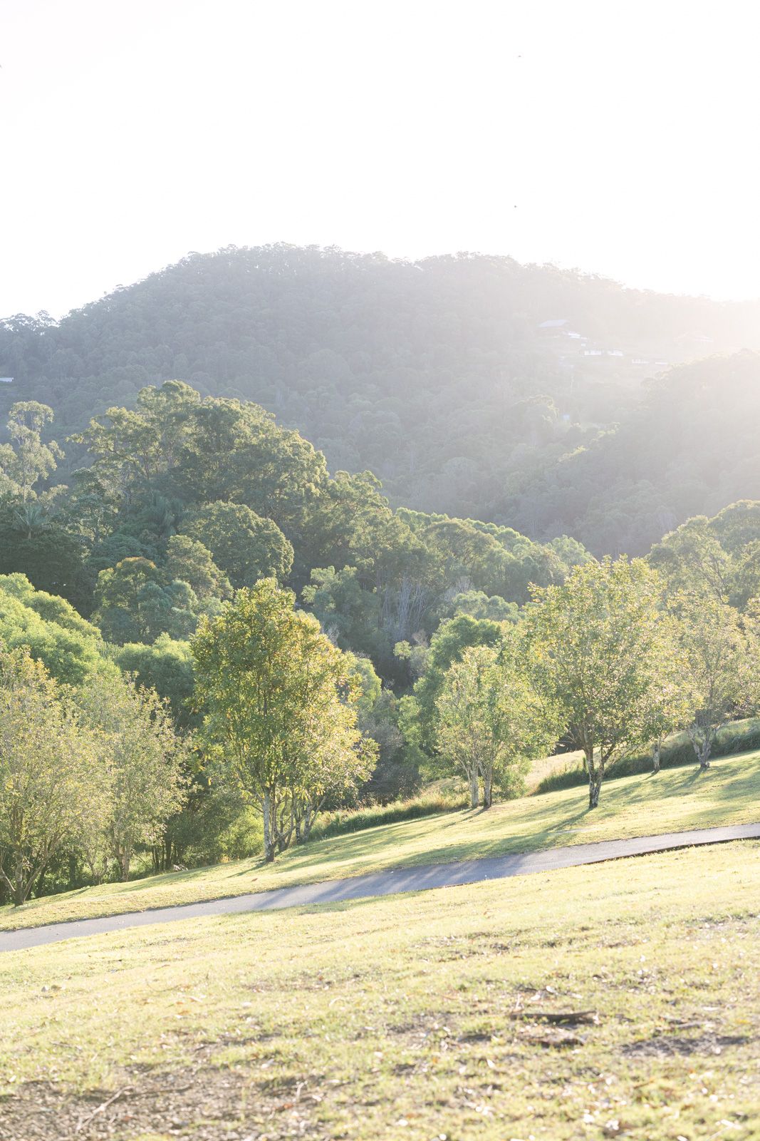 Rolling green hills dotted with eucalyptus trees stretch across a sunlit Australian landscape on a clear day.