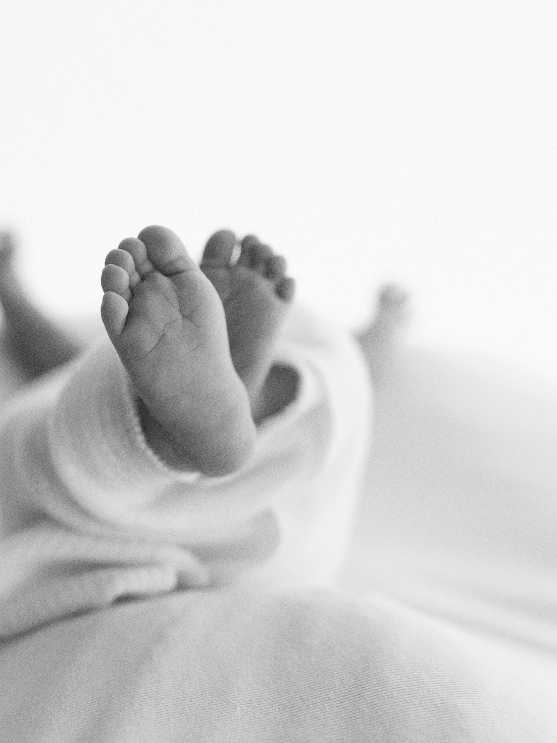 Close-up black and white photo of tiny baby feet wrapped in soft white fabric.