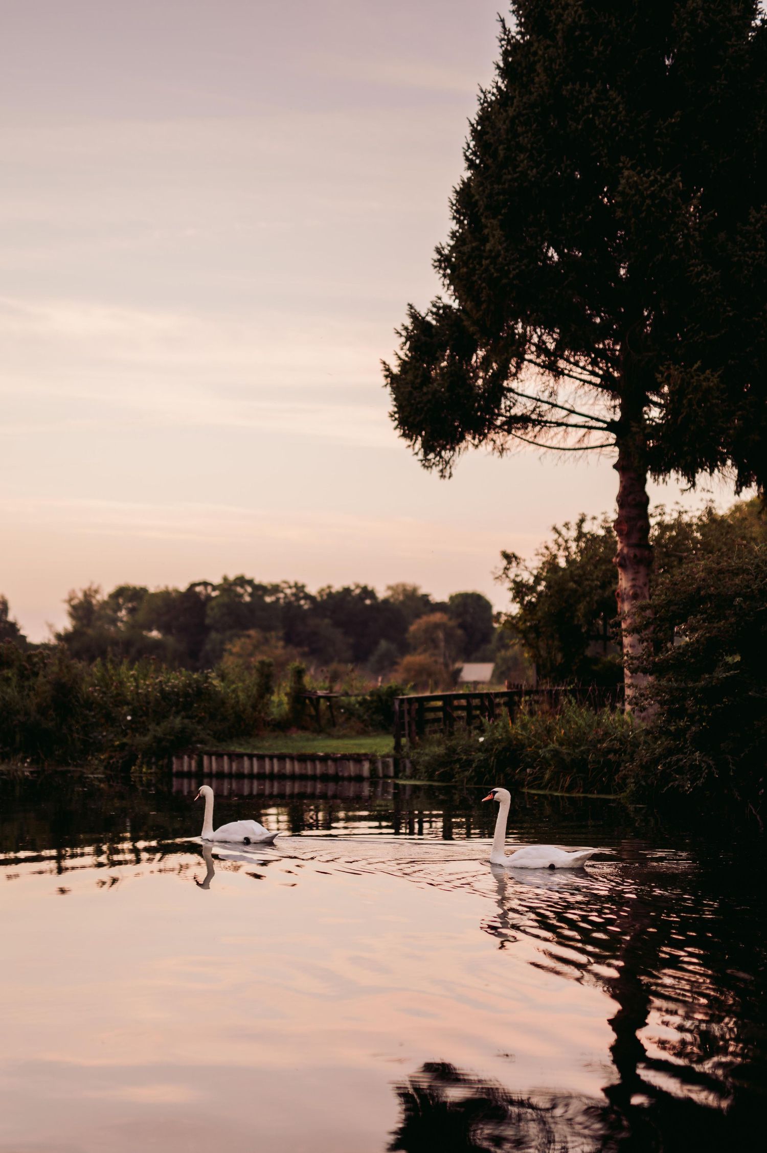 Milsoms Talbooth Wedding - Dedham - Essex & Suffolk Wedding Photographer