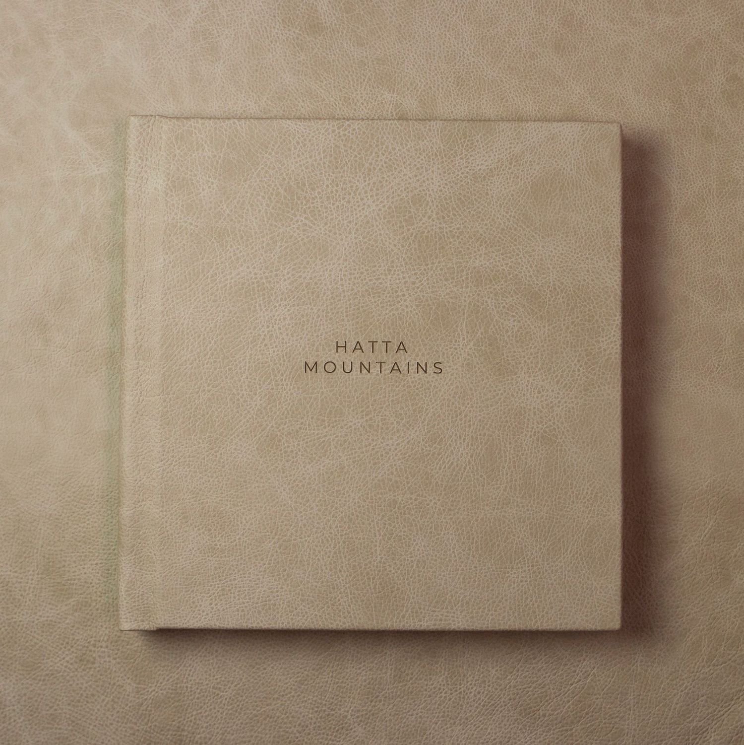 Minimalist beige photo album cover with simple text design.