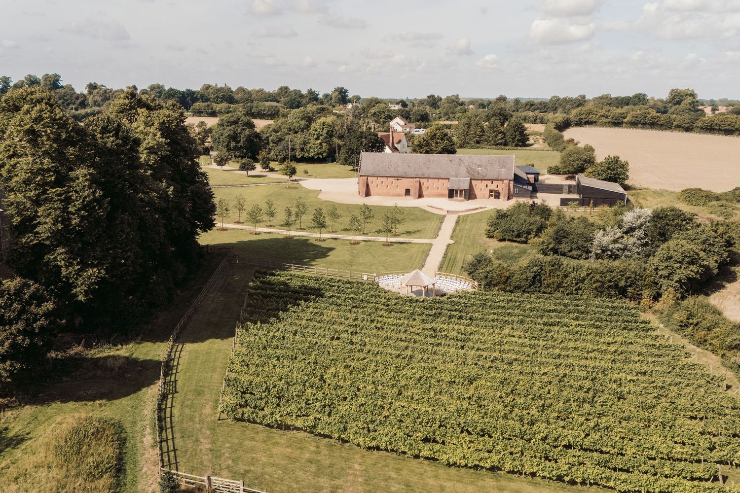 Aerial view of a vineyard with a winding path leading to a red barn surrounded by rolling countryside.