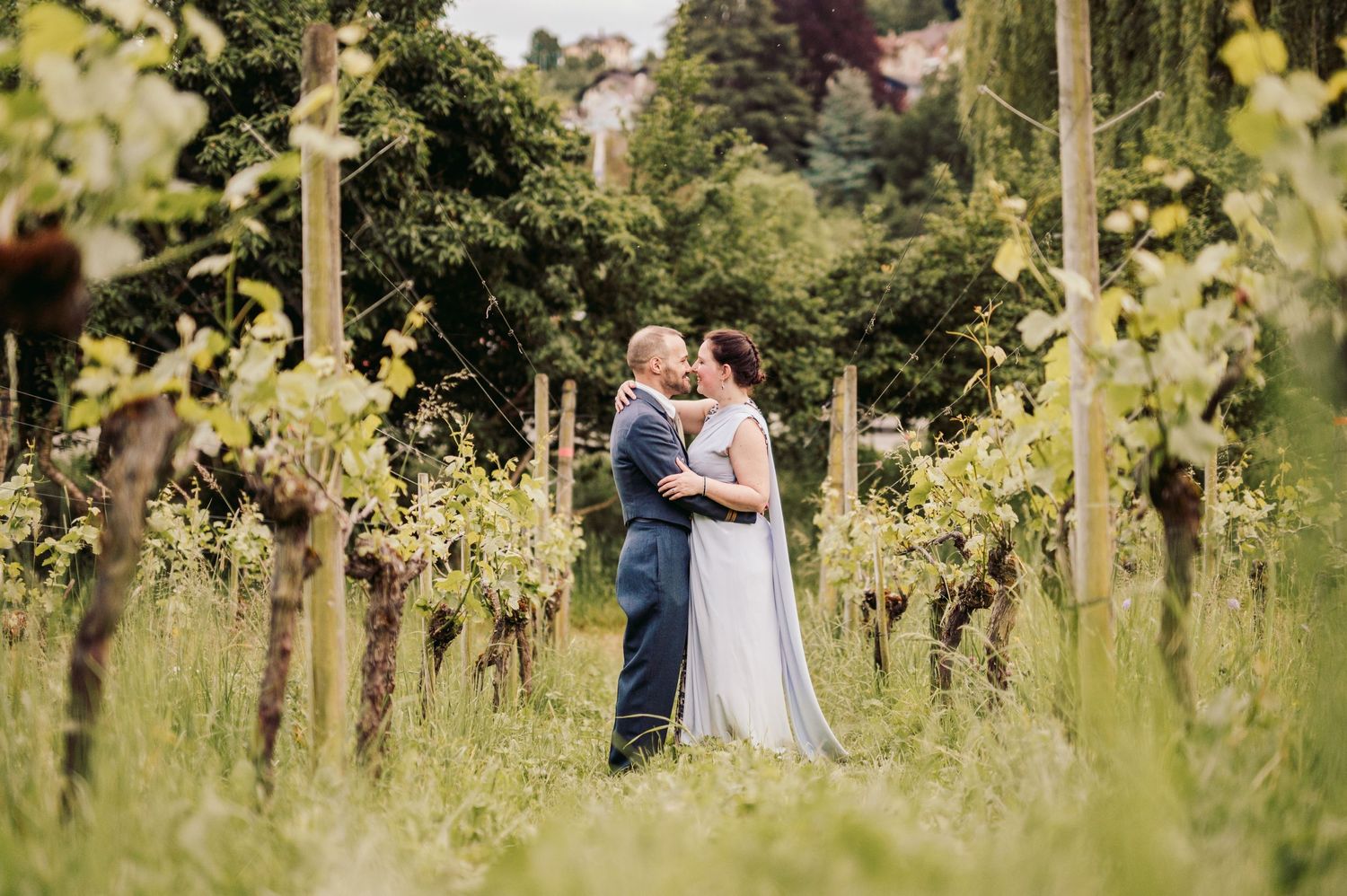 A couple embraces among lush green vines in a scenic vineyard with trees and hills in the background.Spiez switzerland destination wedding
