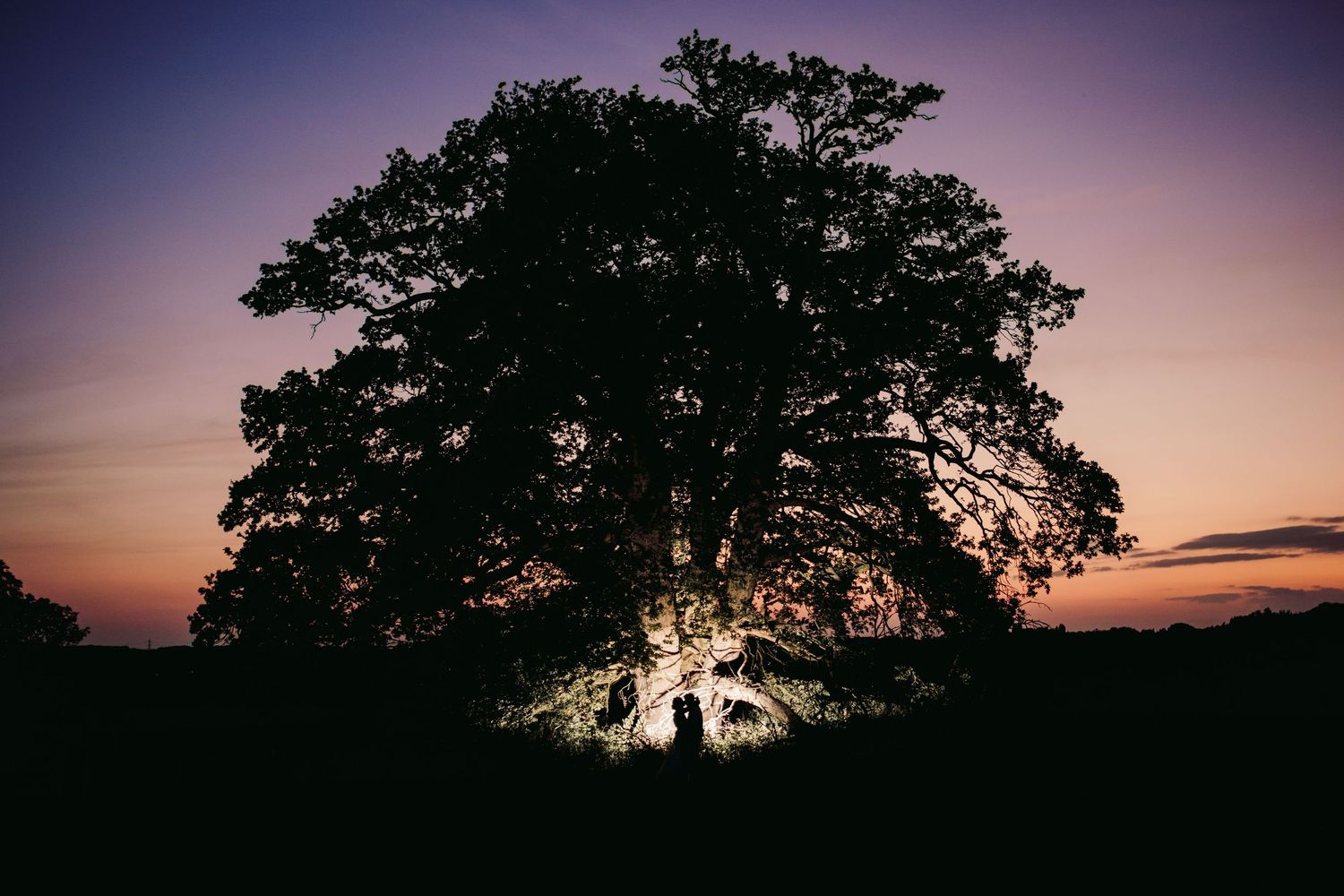 Dramatic sunset silhouettes of trees against a purple sky.