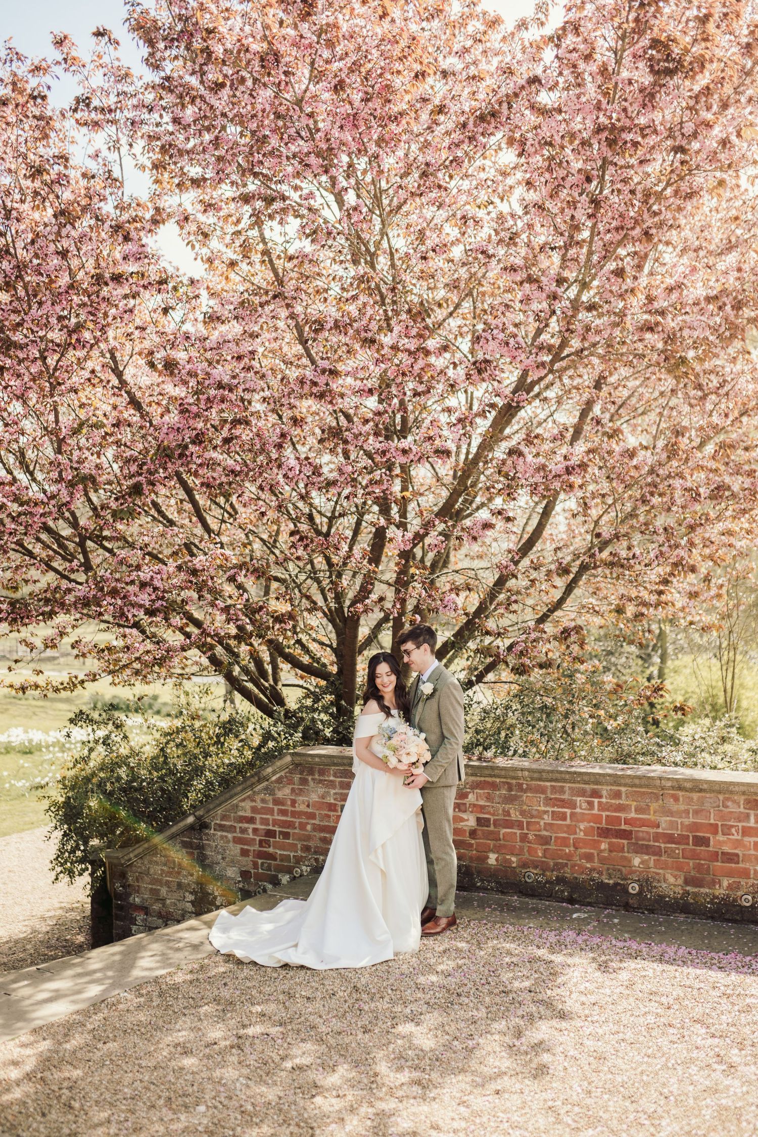 Wedding couple posing under blooming cherry blossom trees against a brick wall.