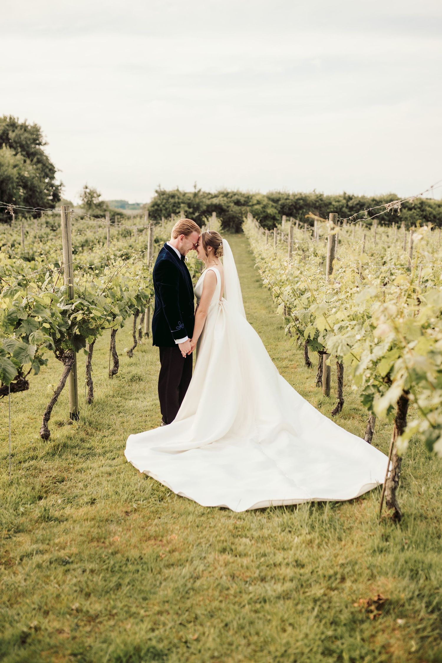 A couple in wedding attire stands among rows of grapevines at a vineyard on their special day.