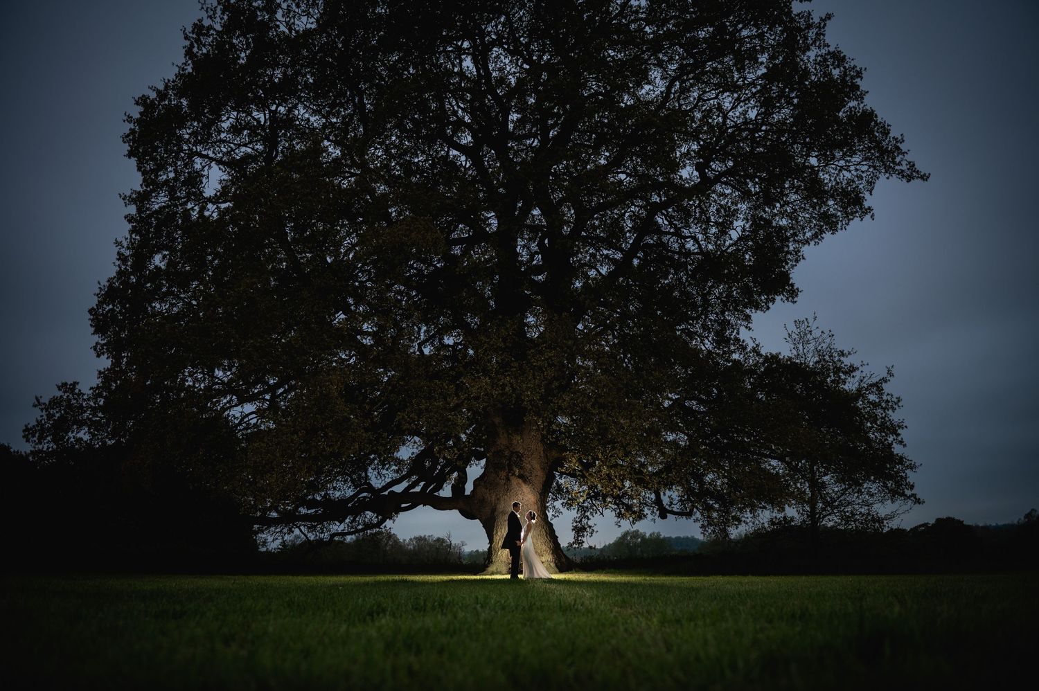 A dramatic backlit wedding photo silhouettes a couple against a large tree at dusk.