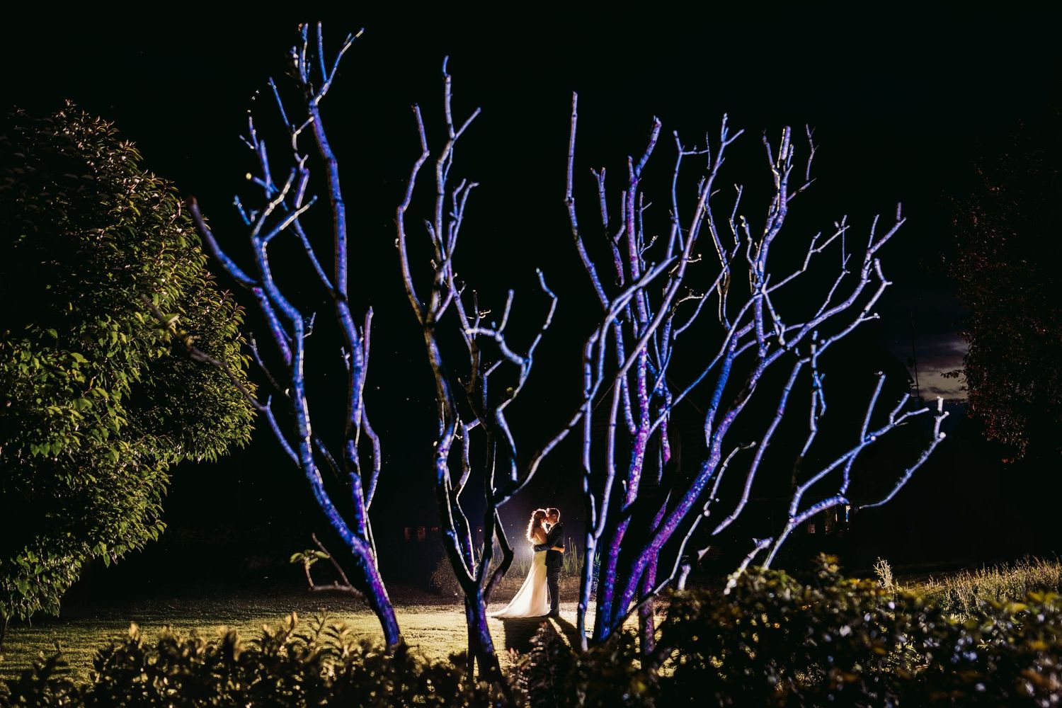 Trees illuminated with blue lights create a magical nighttime wedding scene.