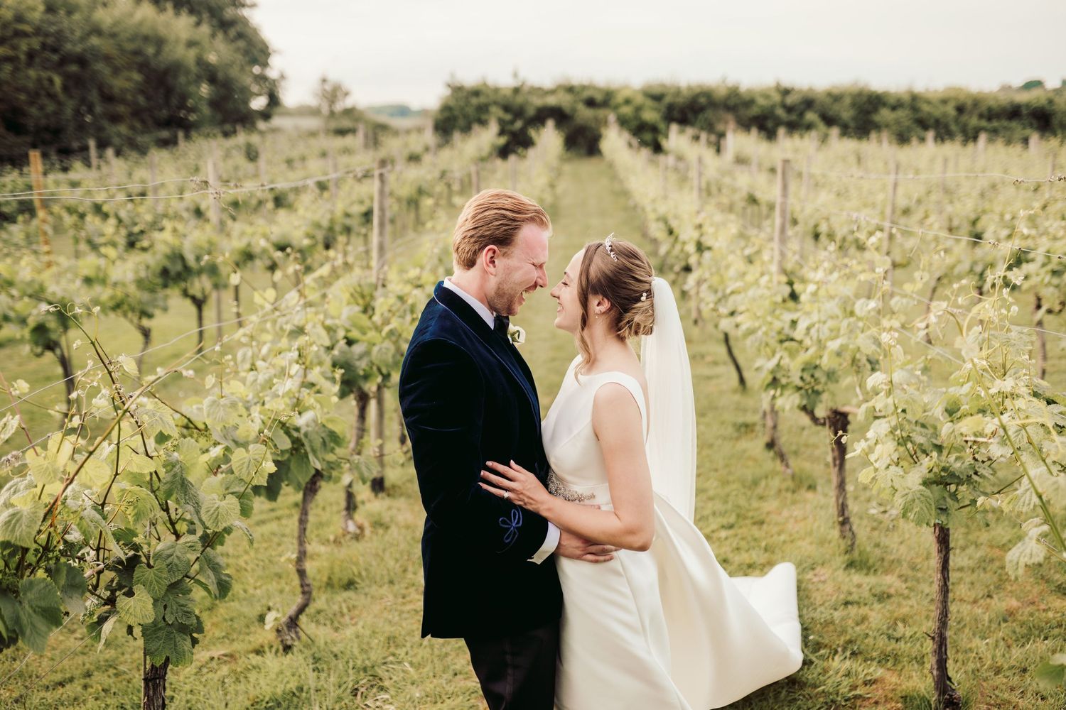 A couple shares an intimate moment together in a scenic vineyard on their wedding day.