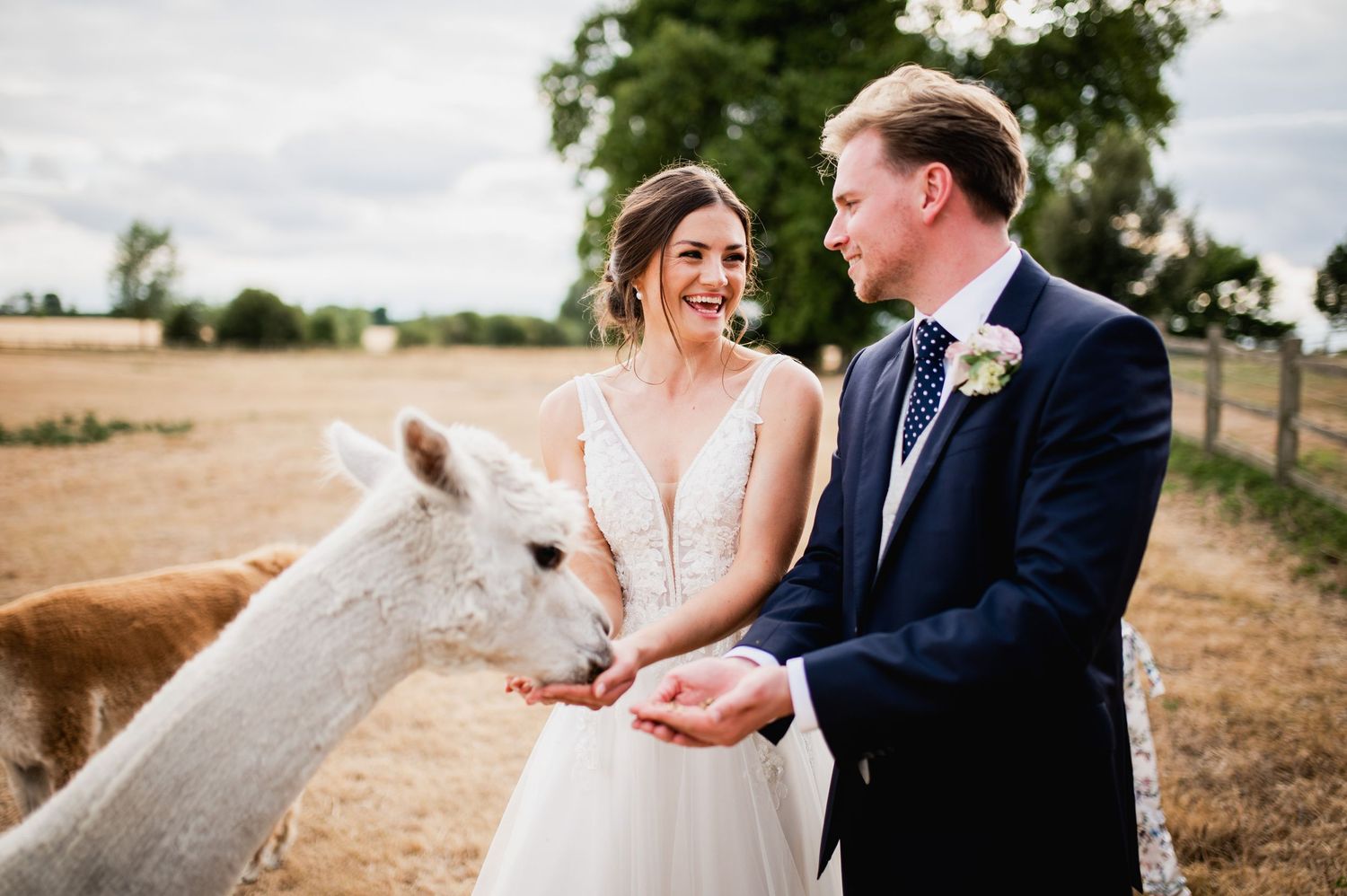 A couple shares intimate moments during their wedding photoshoot in a sunlit outdoor setting.
