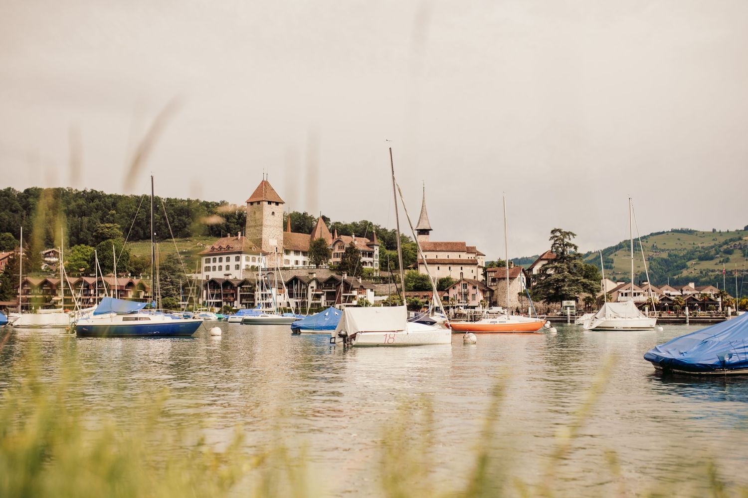Sailboats and yachts moored in a scenic harbor with a church tower visible on the hillside in the background.Spiez switzerland destination